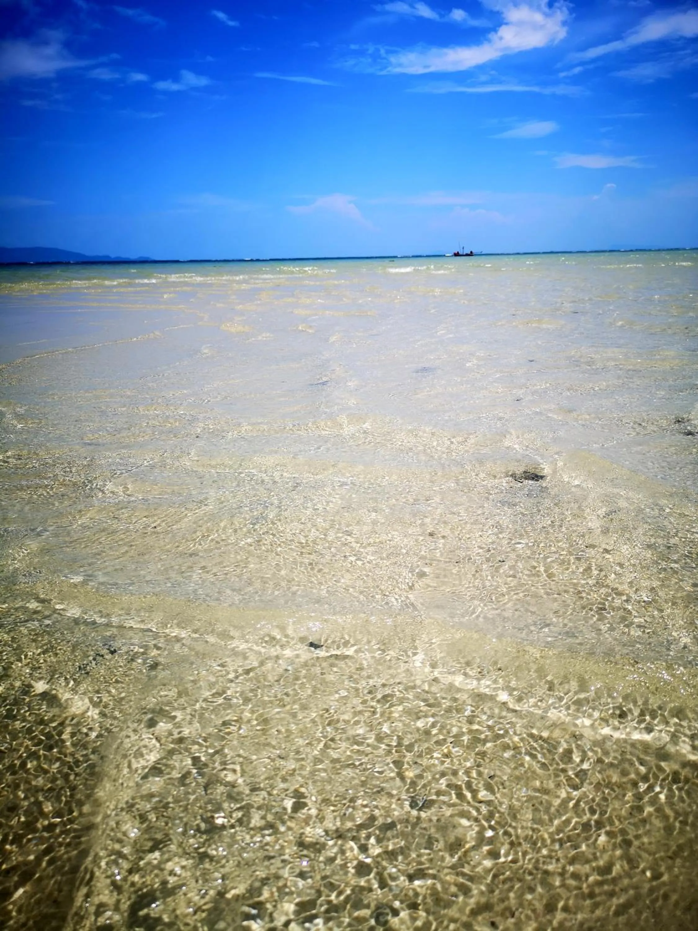 Natural landscape in SeaEsta Beach