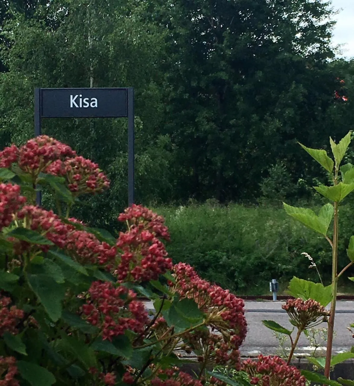 Kisa Wärdshus & Hotell