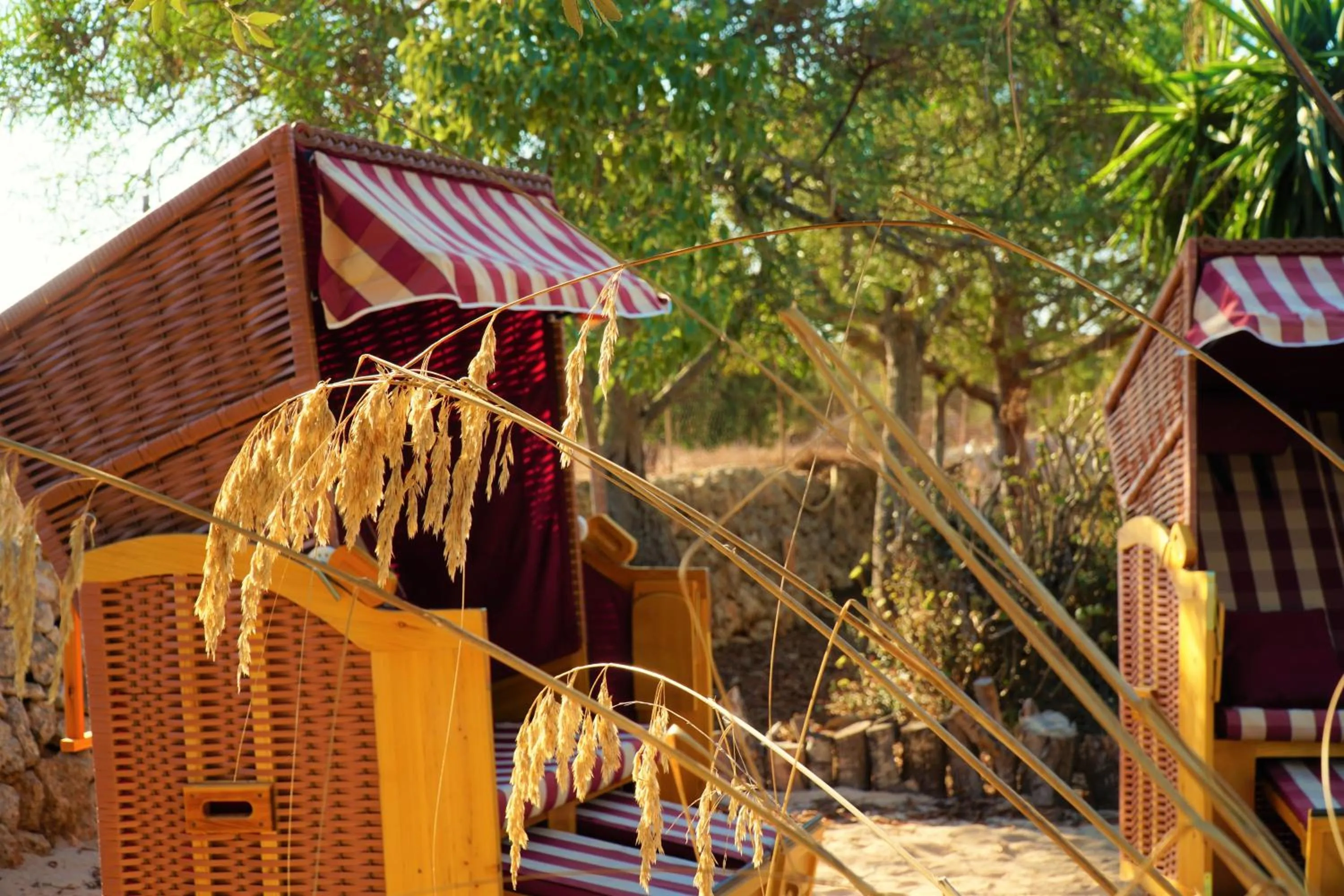 Agroturismo Finca Sa Tanca