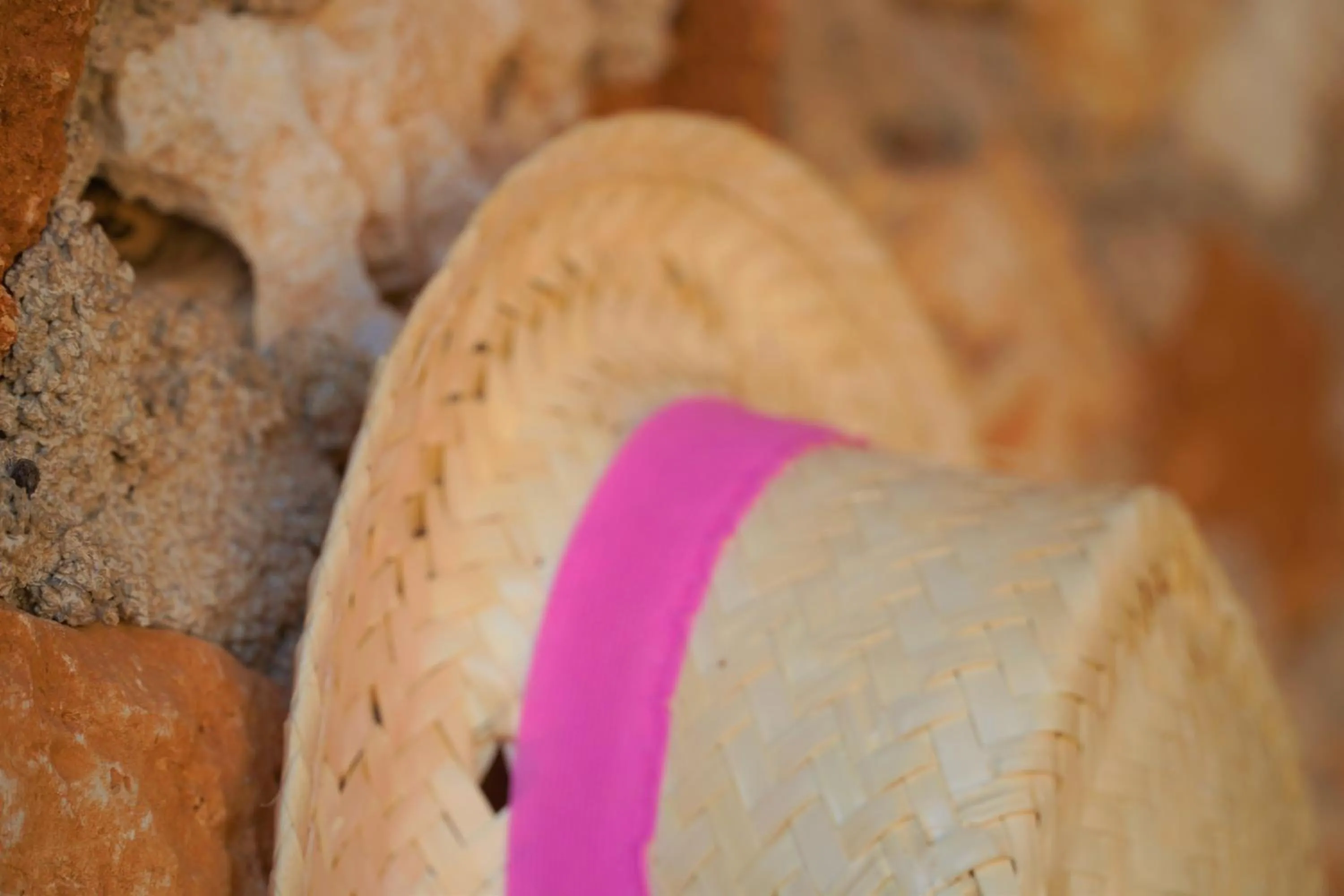 Agroturismo Finca Sa Tanca