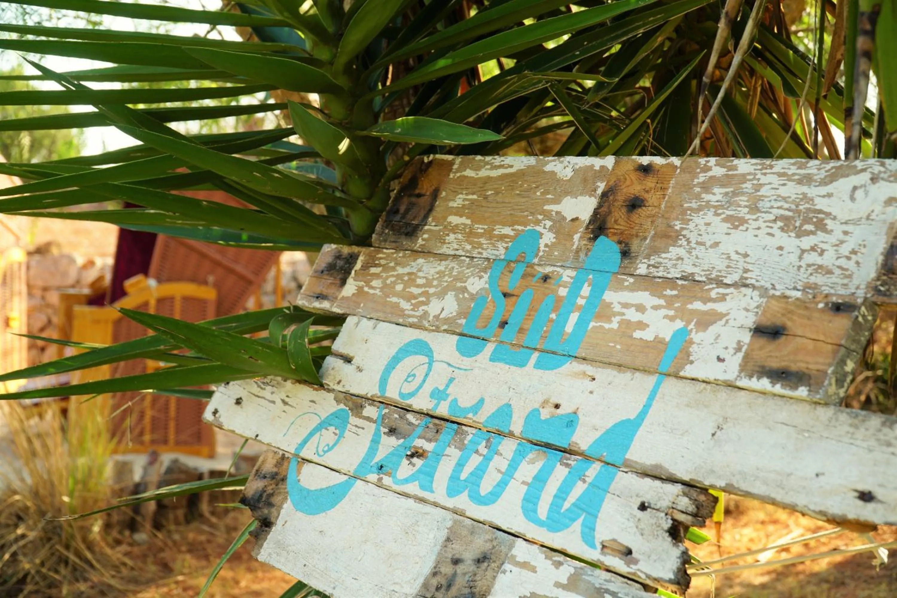 Agroturismo Finca Sa Tanca