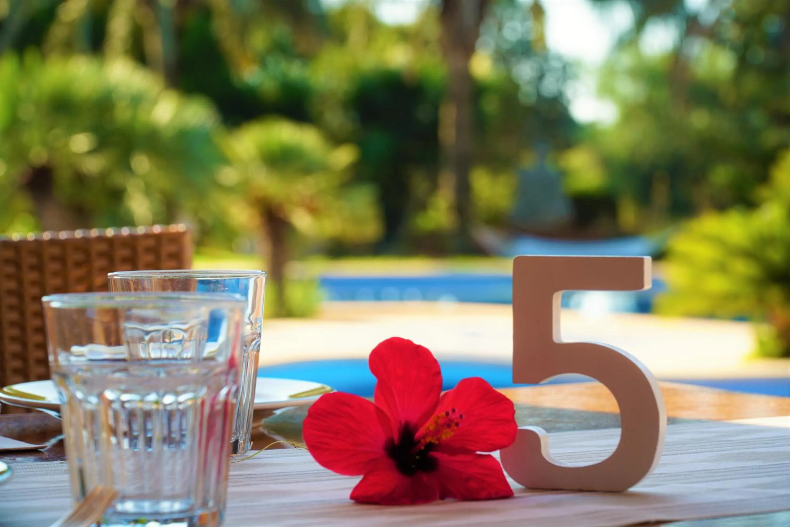 Agroturismo Finca Sa Tanca