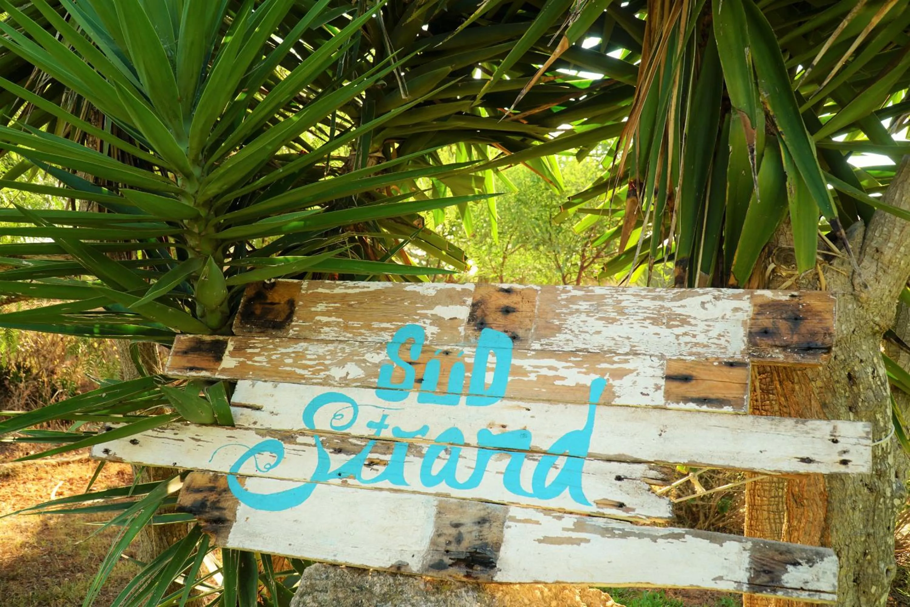 Agroturismo Finca Sa Tanca