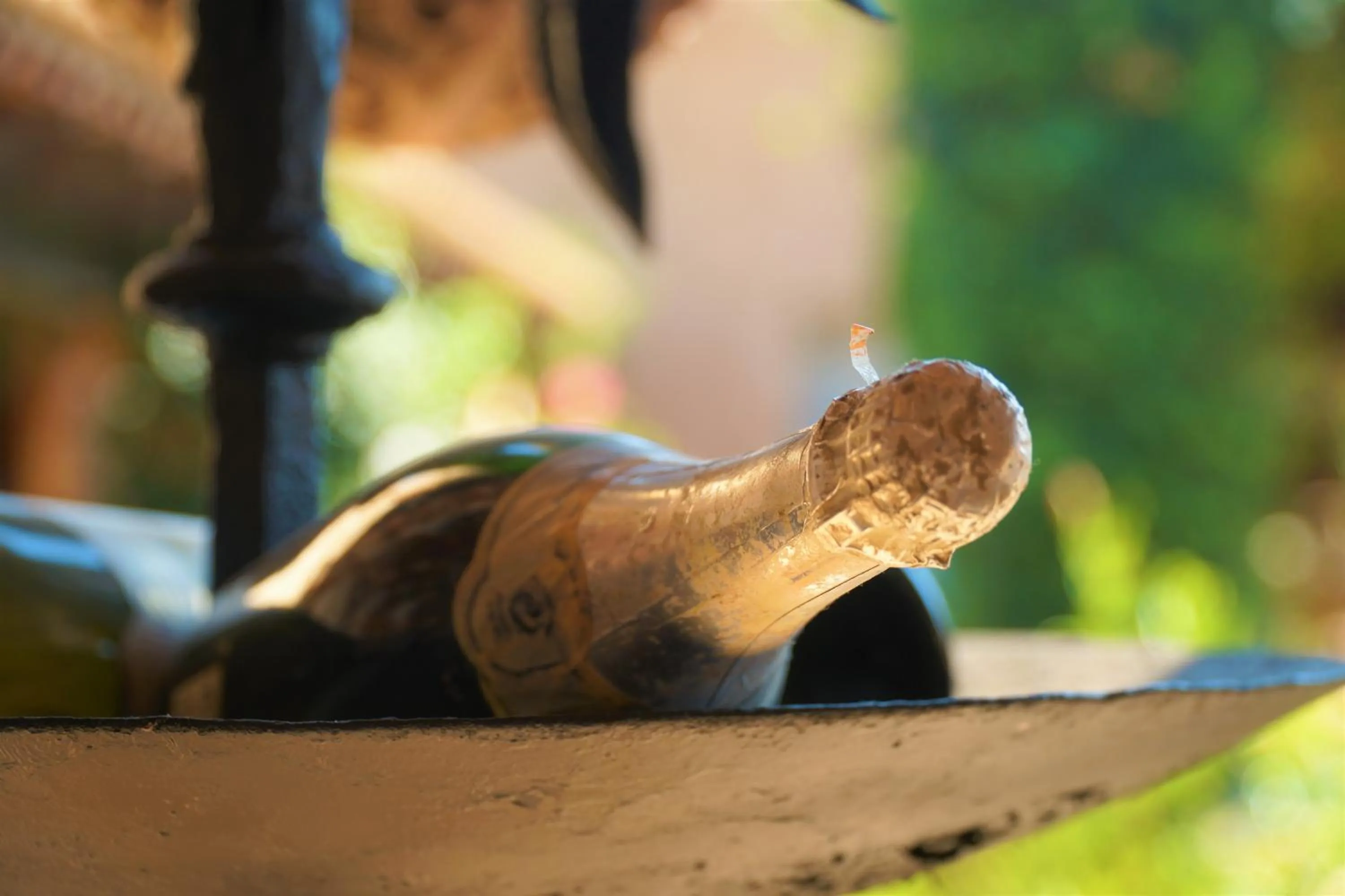 Agroturismo Finca Sa Tanca