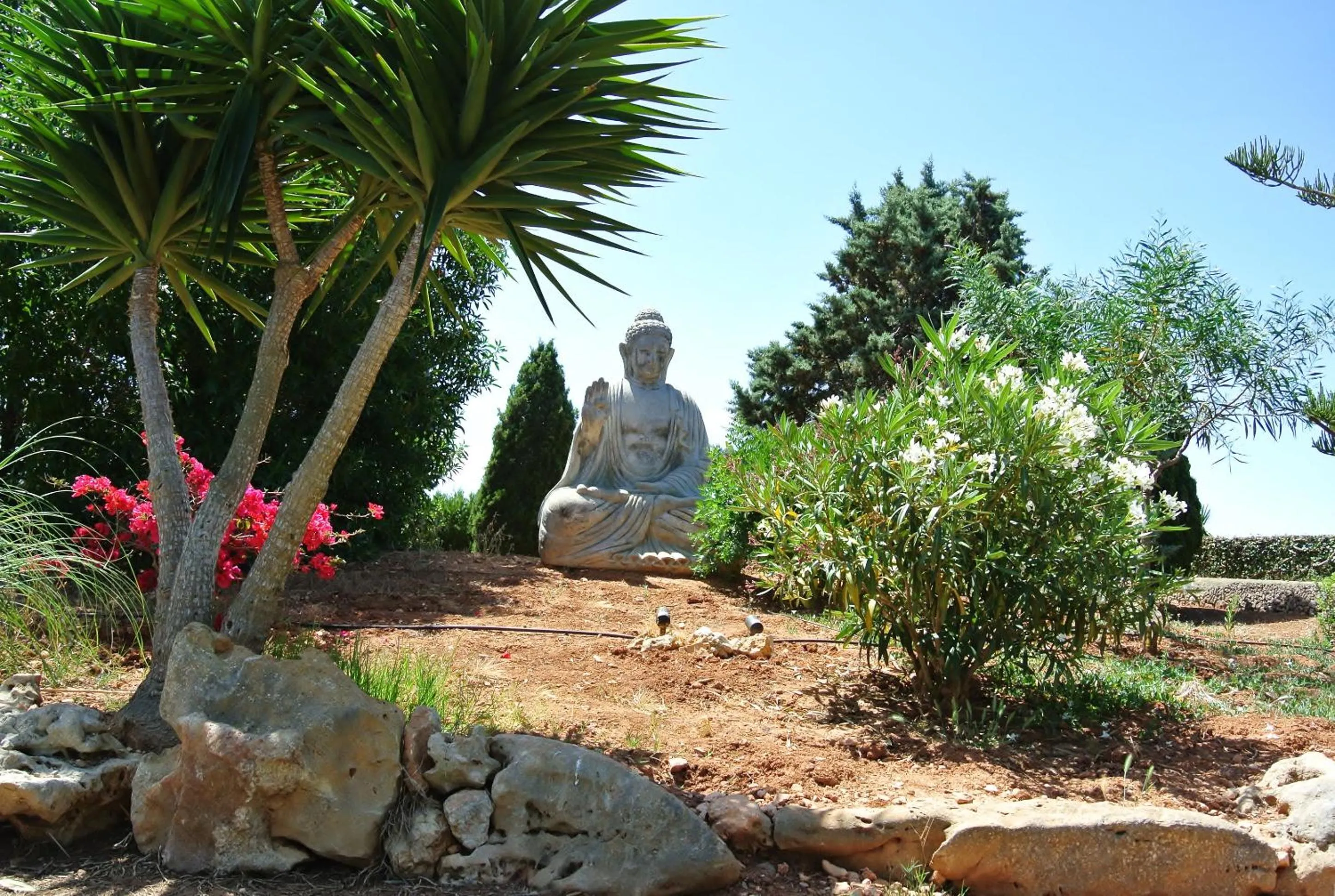 Garden in Agroturismo Finca Sa Tanca