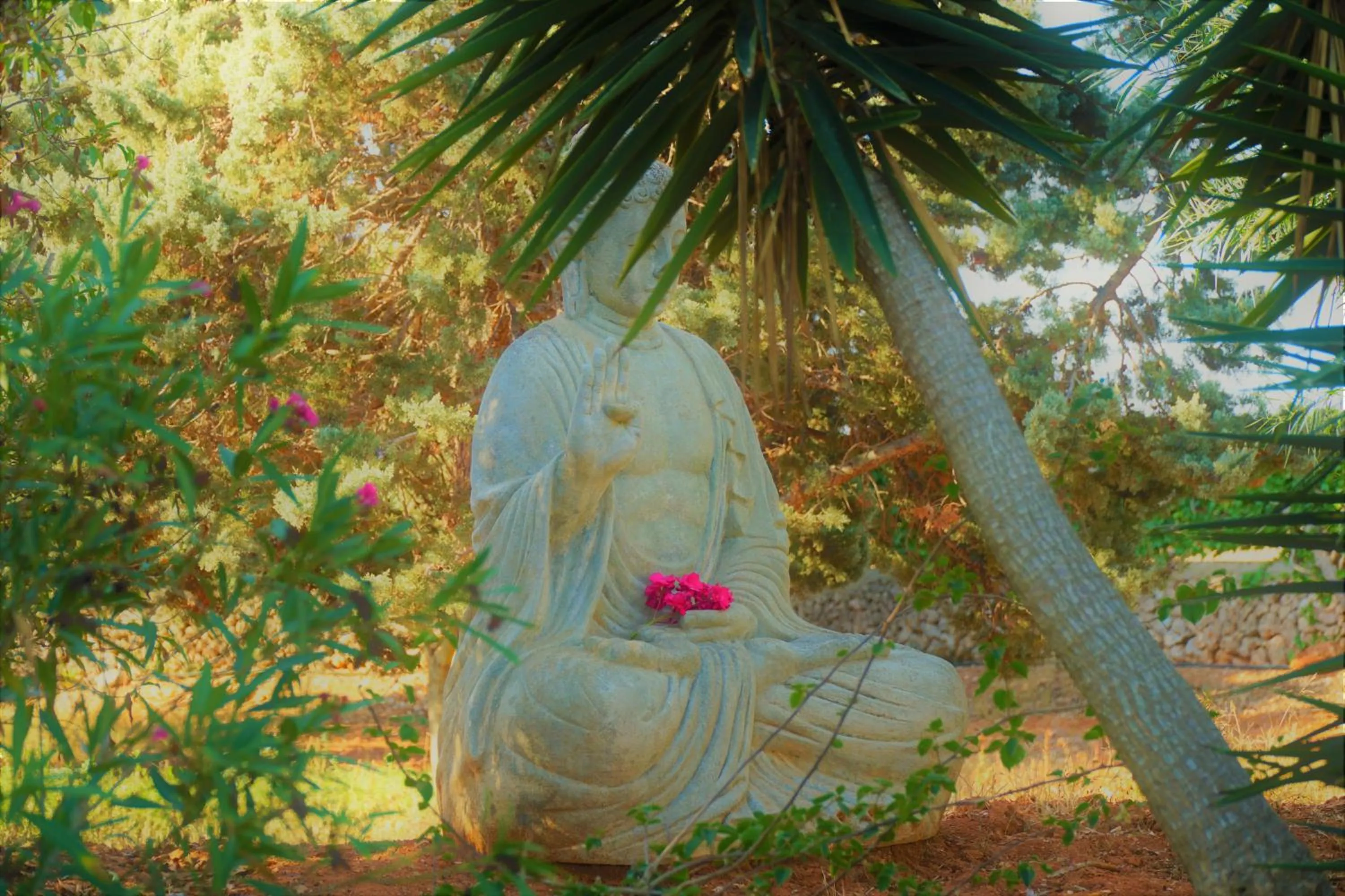 Agroturismo Finca Sa Tanca