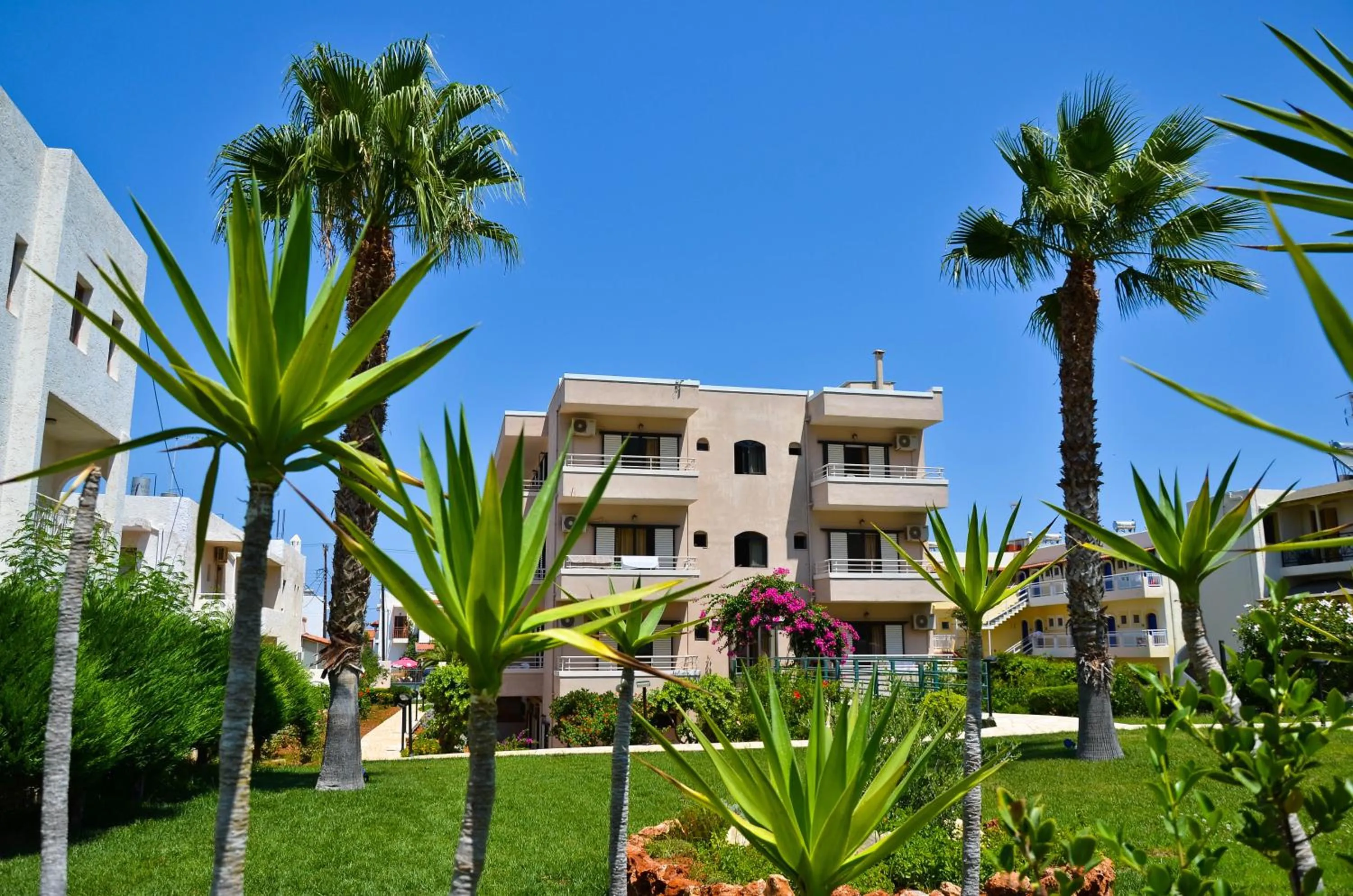 Garden in Niko Elen, Adults Only