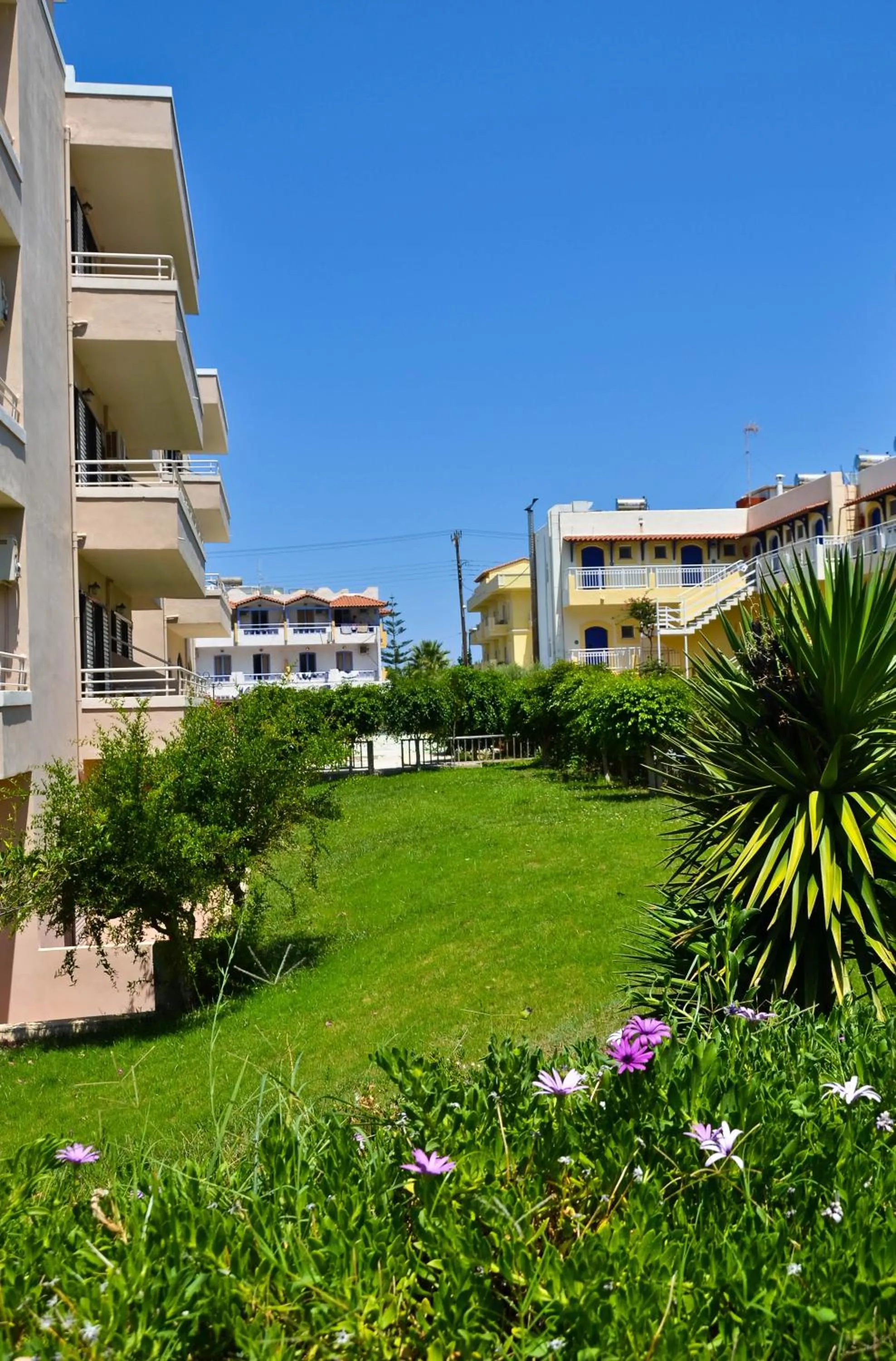 Other in Niko Elen, Adults Only