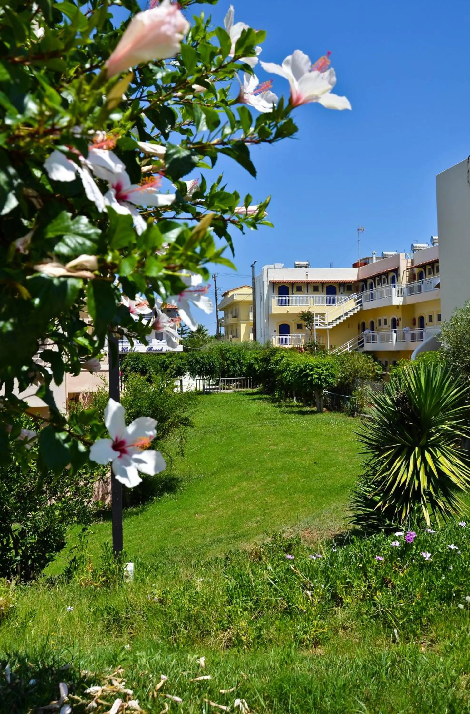 Garden in Niko Elen, Adults Only