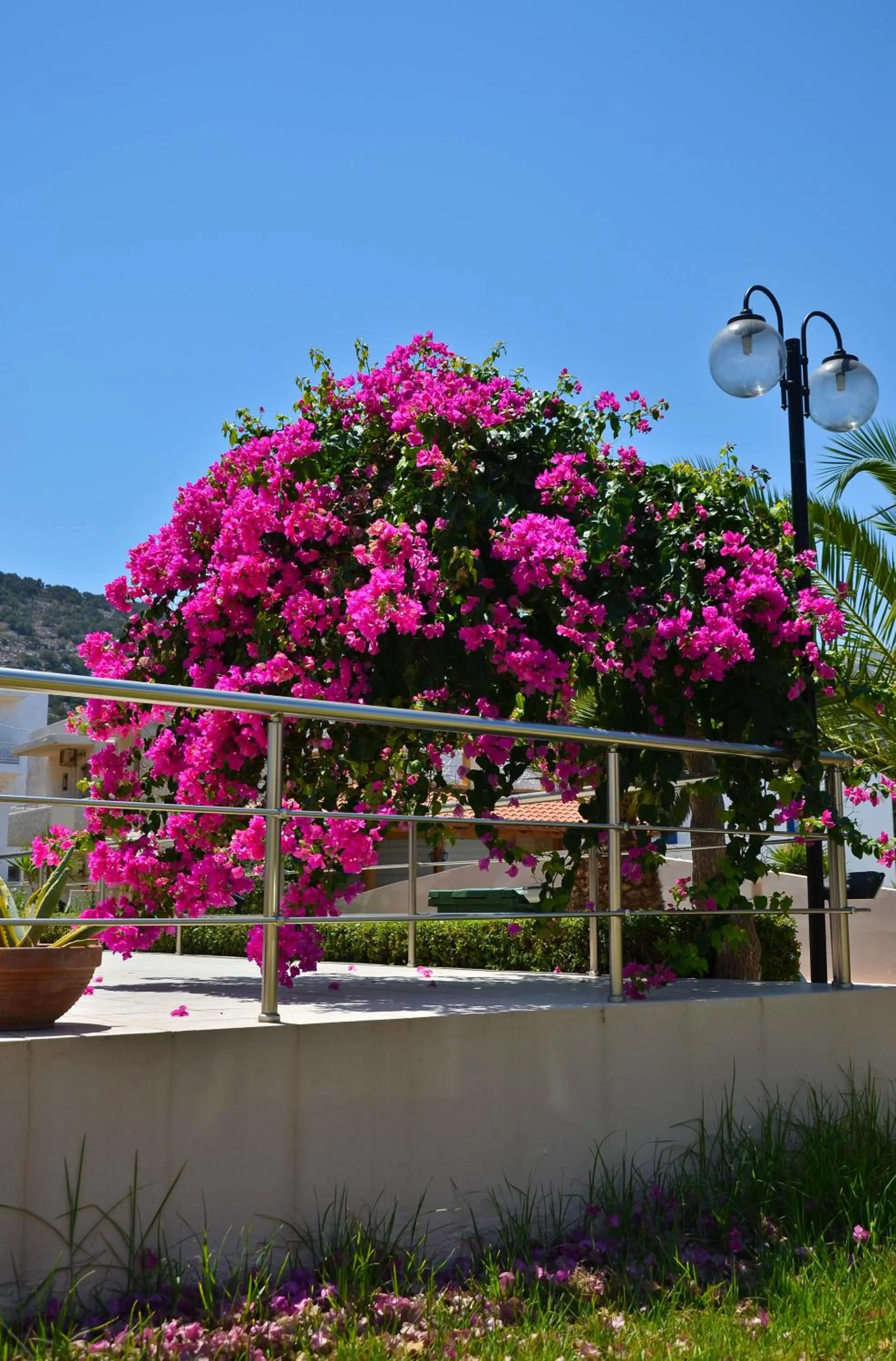 Garden view in Niko Elen, Adults Only