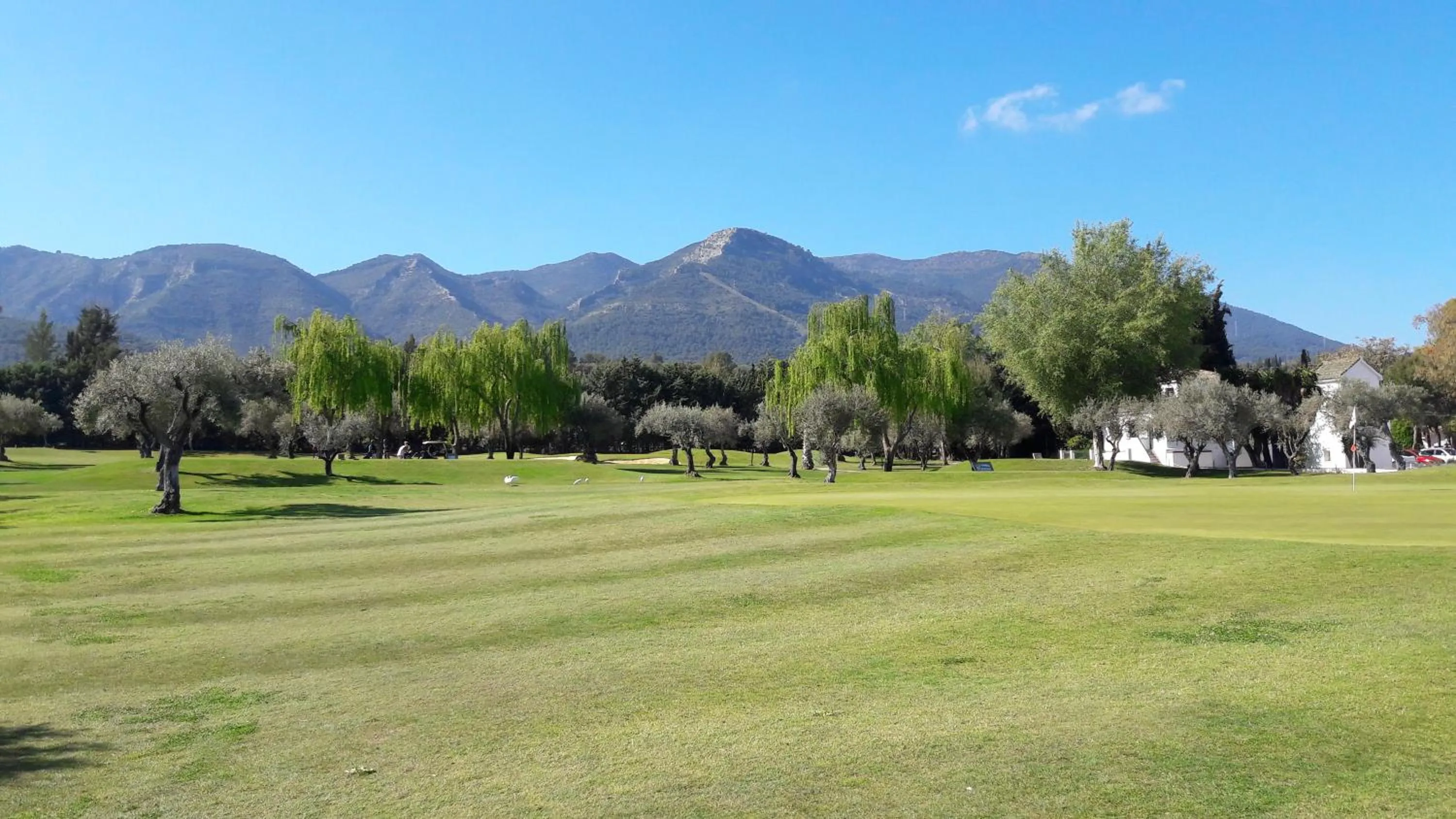 Restaurant/places to eat in Finca Roca Vista, adults only