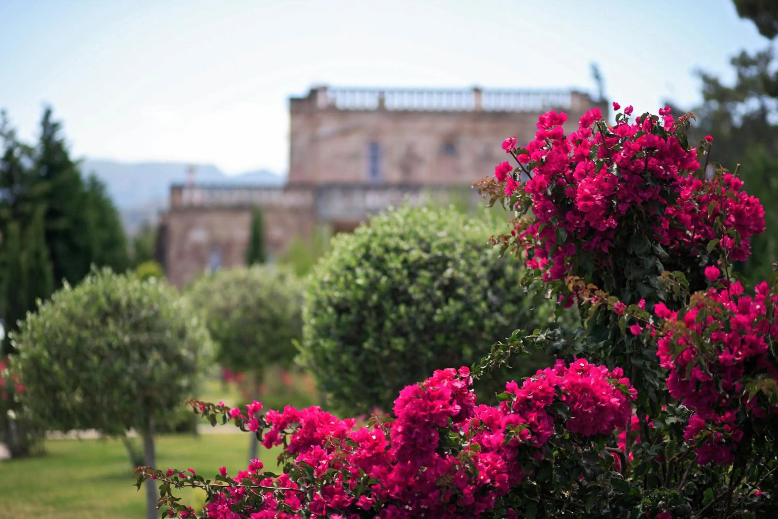 Garden in Sikyon Coast Hotel And Resort