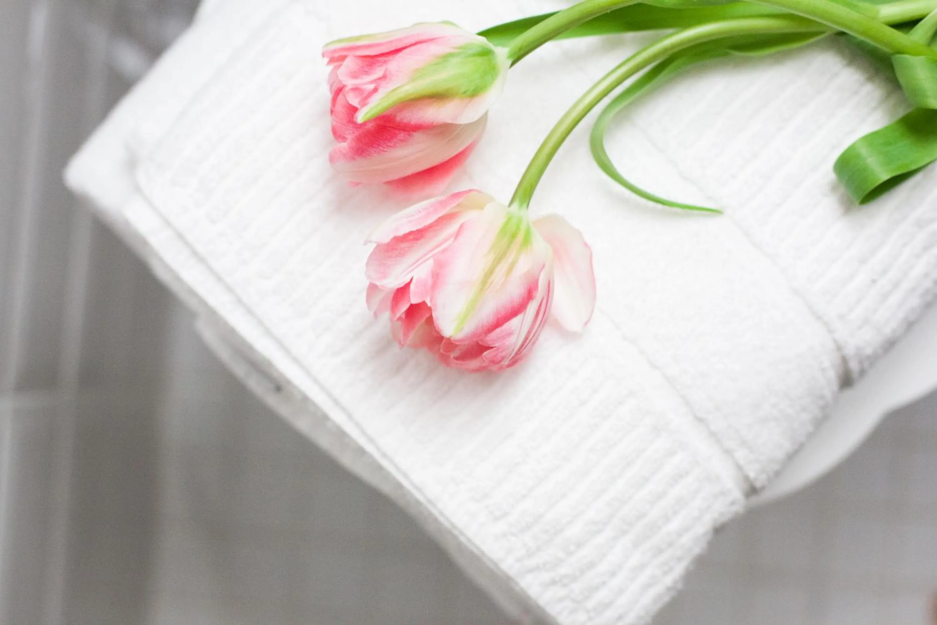 Bathroom in Alessia's Place