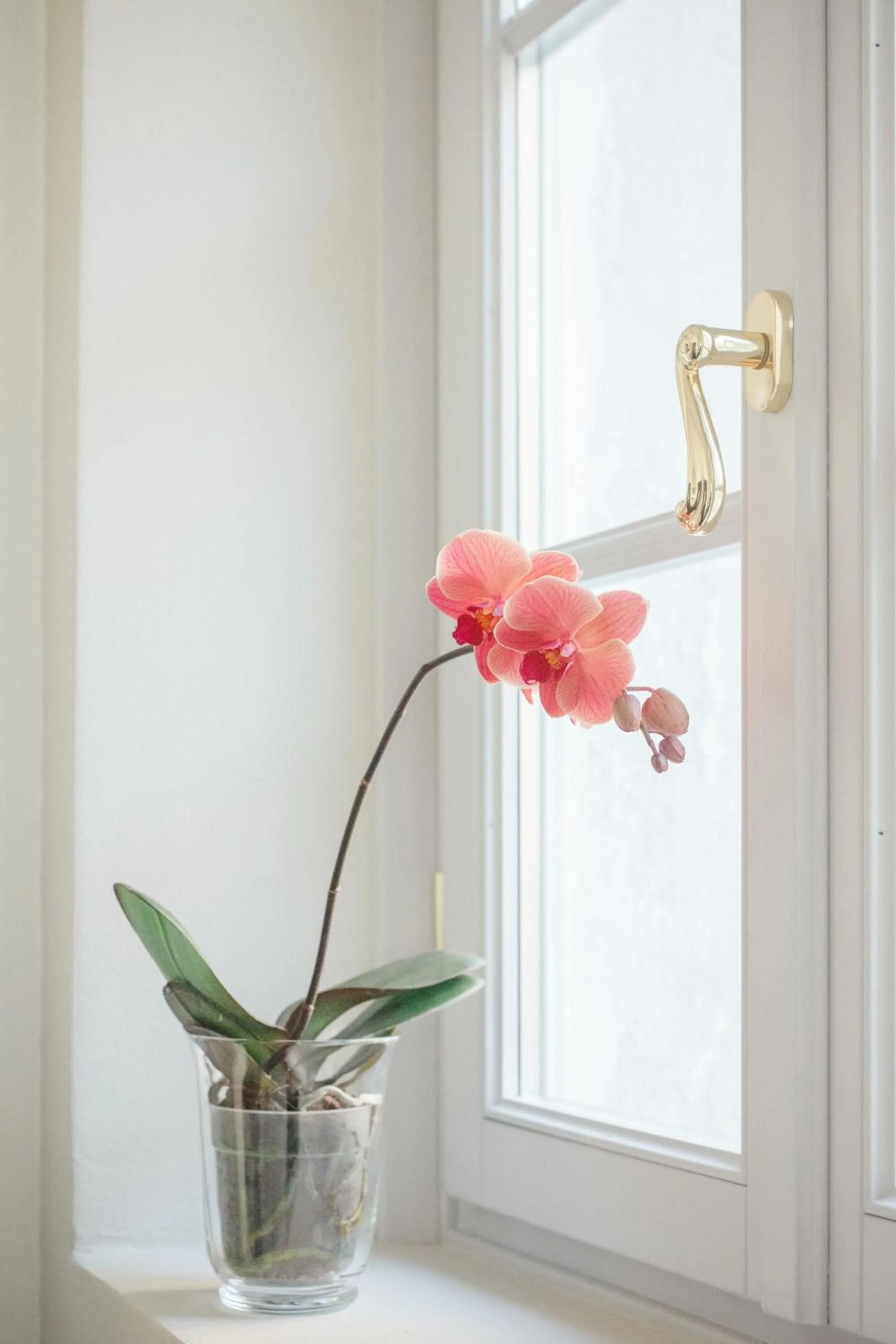 Decorative detail in Alessia's Place