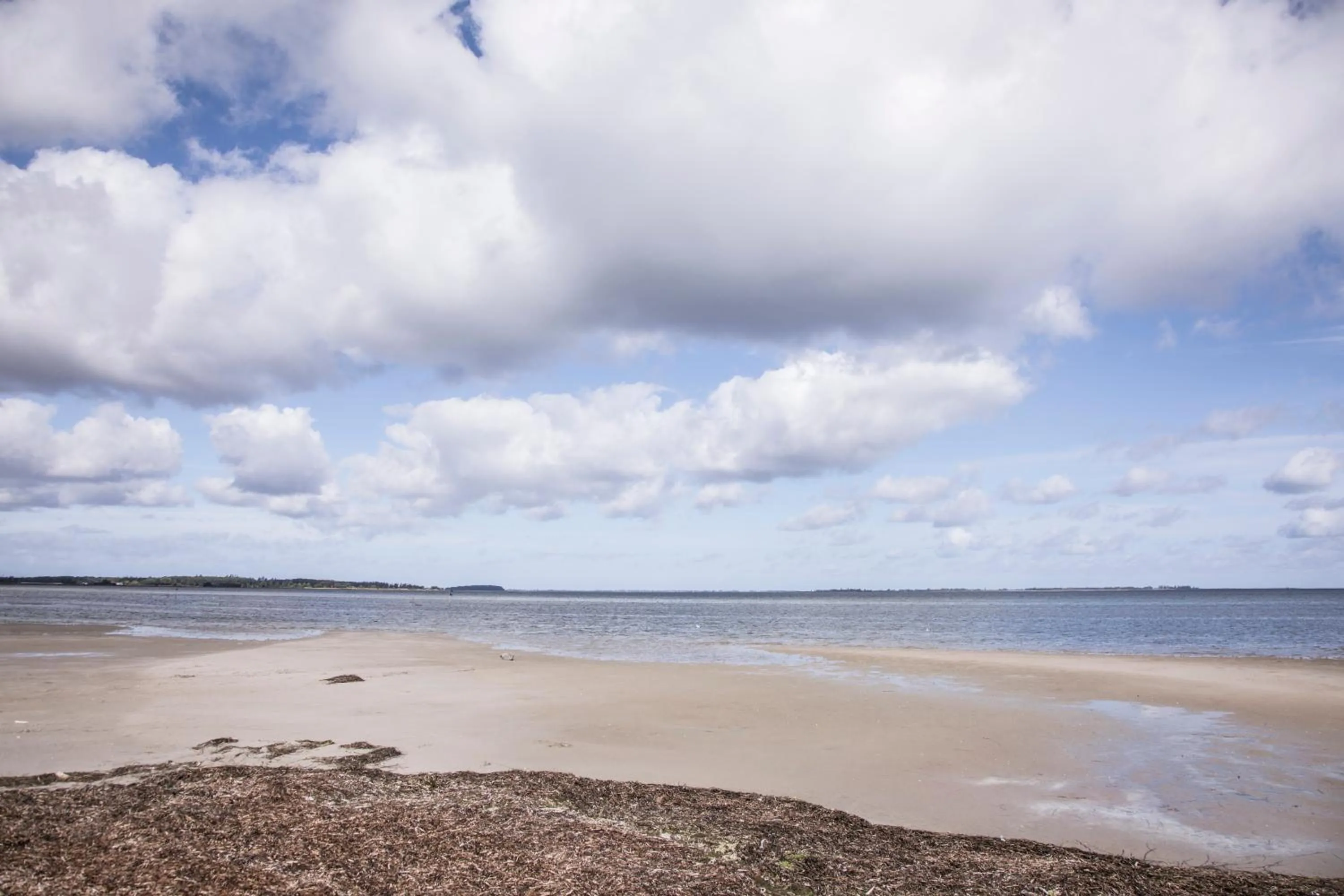 Natural landscape in Bandholm Badehotel
