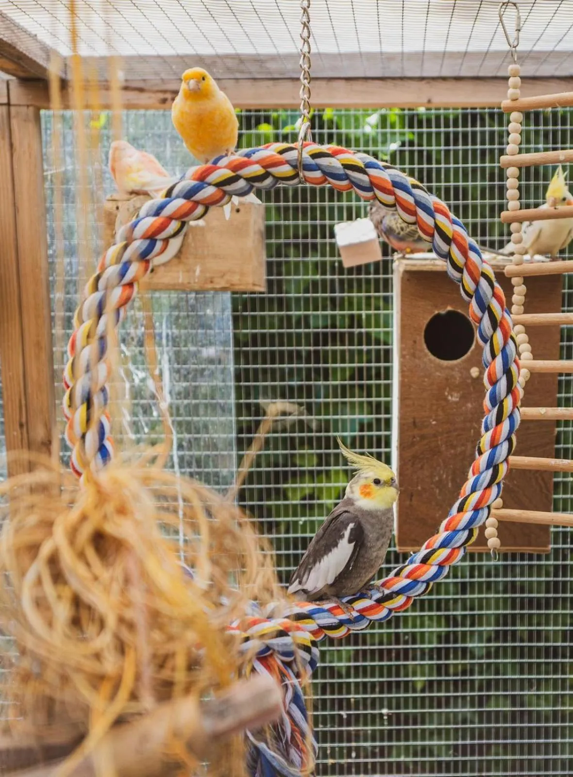 Animals in The Stag Hotel, Restaurant and Bar