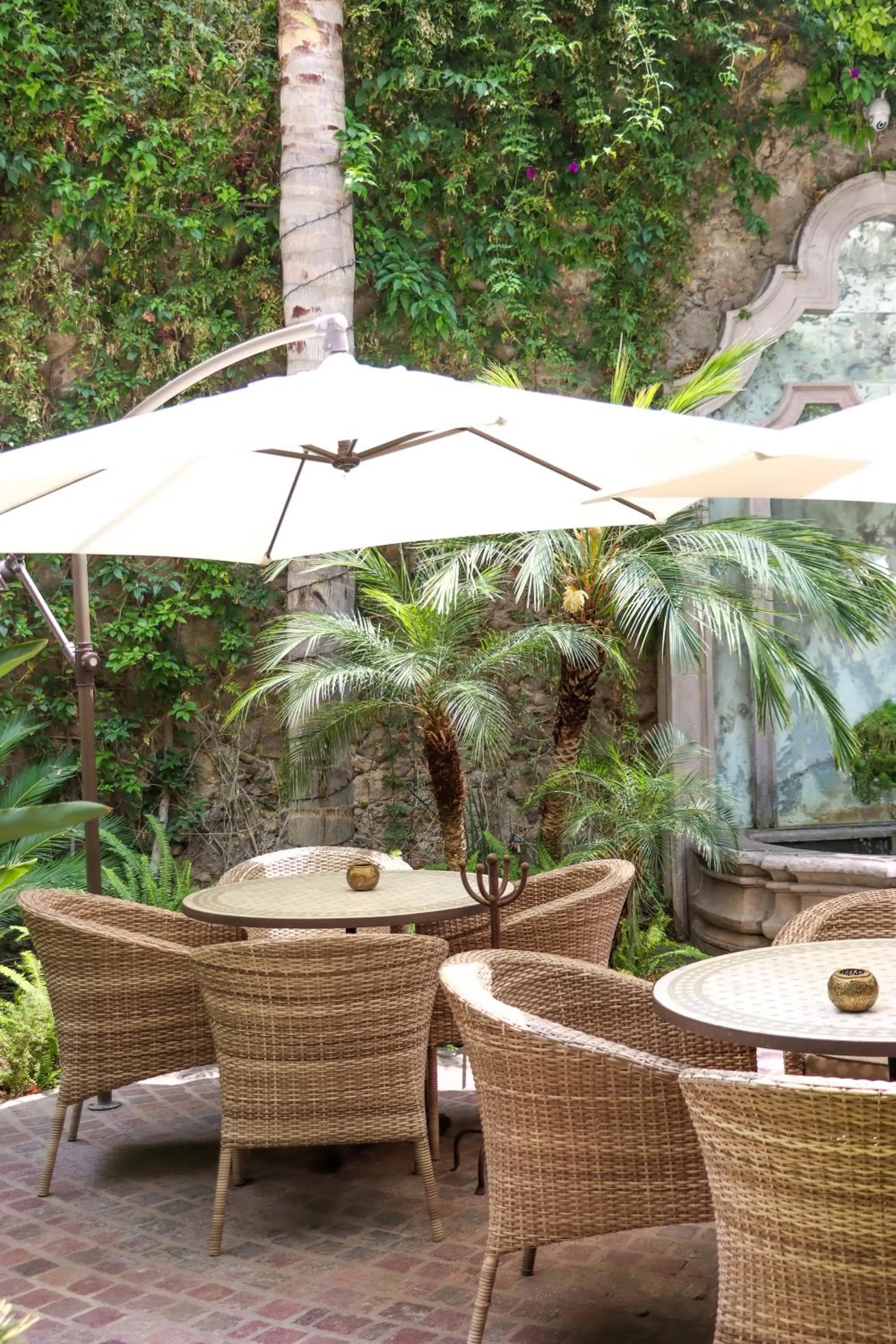 Patio in Hotel Casa Blanca 7