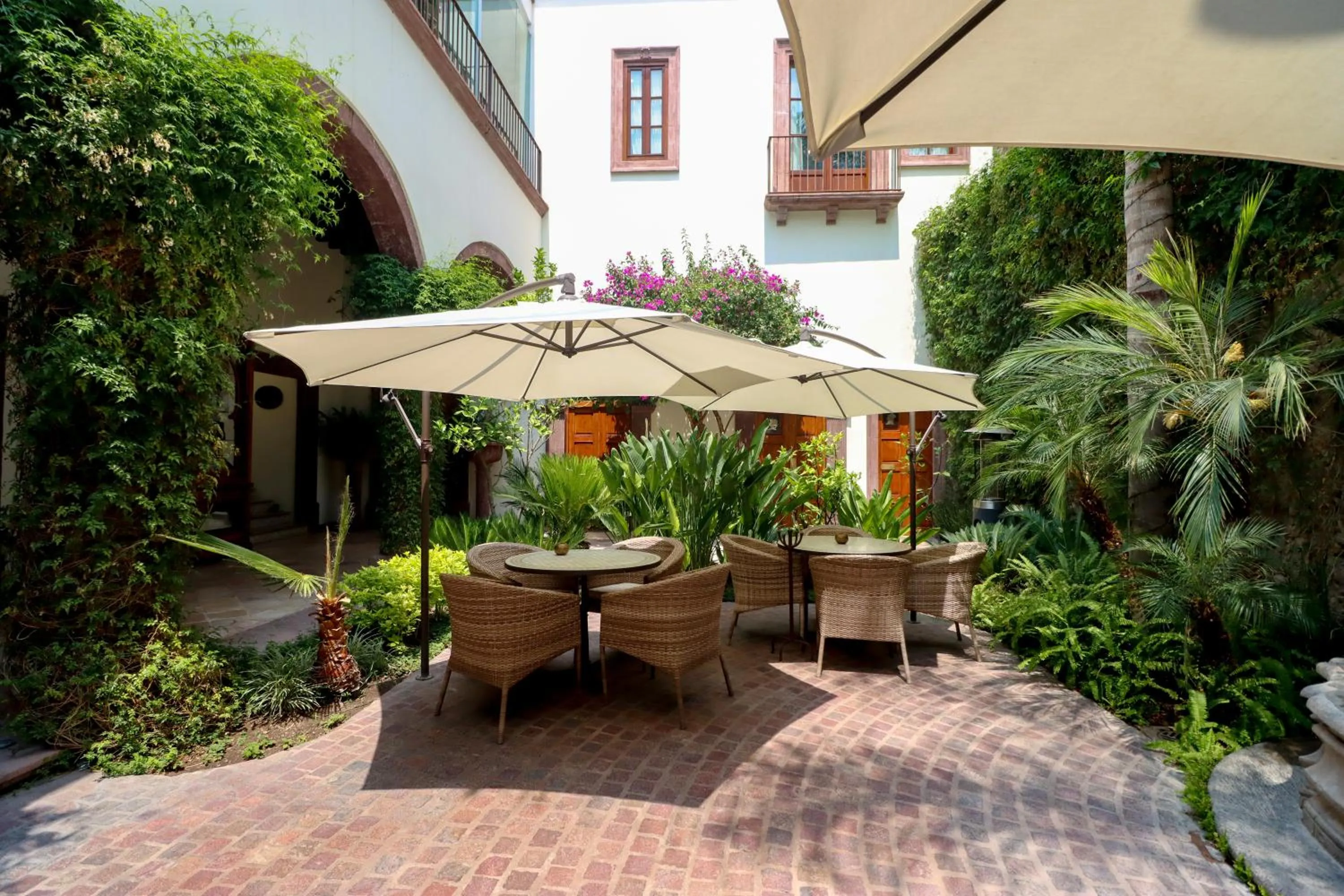 Patio in Hotel Casa Blanca 7