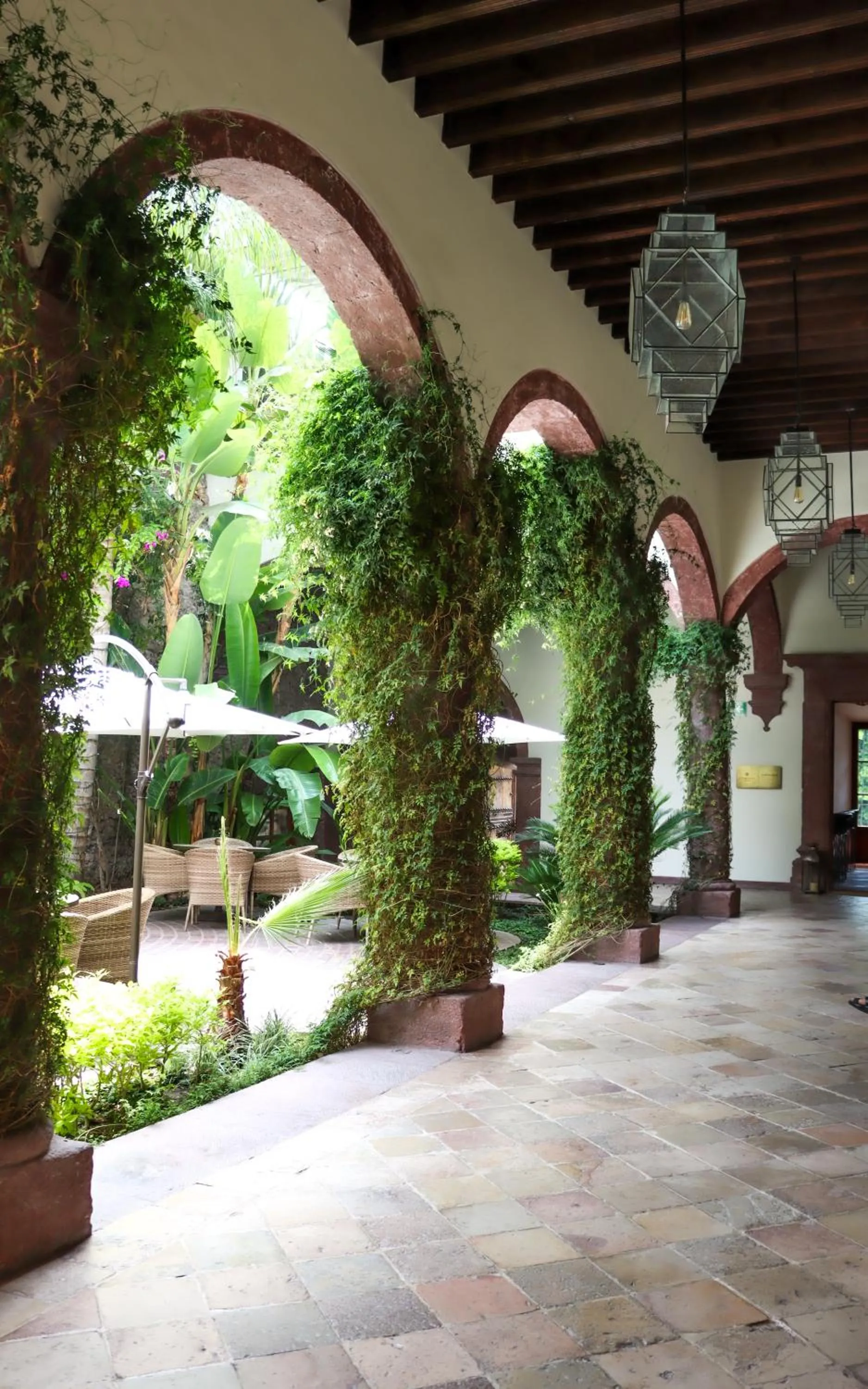 Garden in Hotel Casa Blanca 7