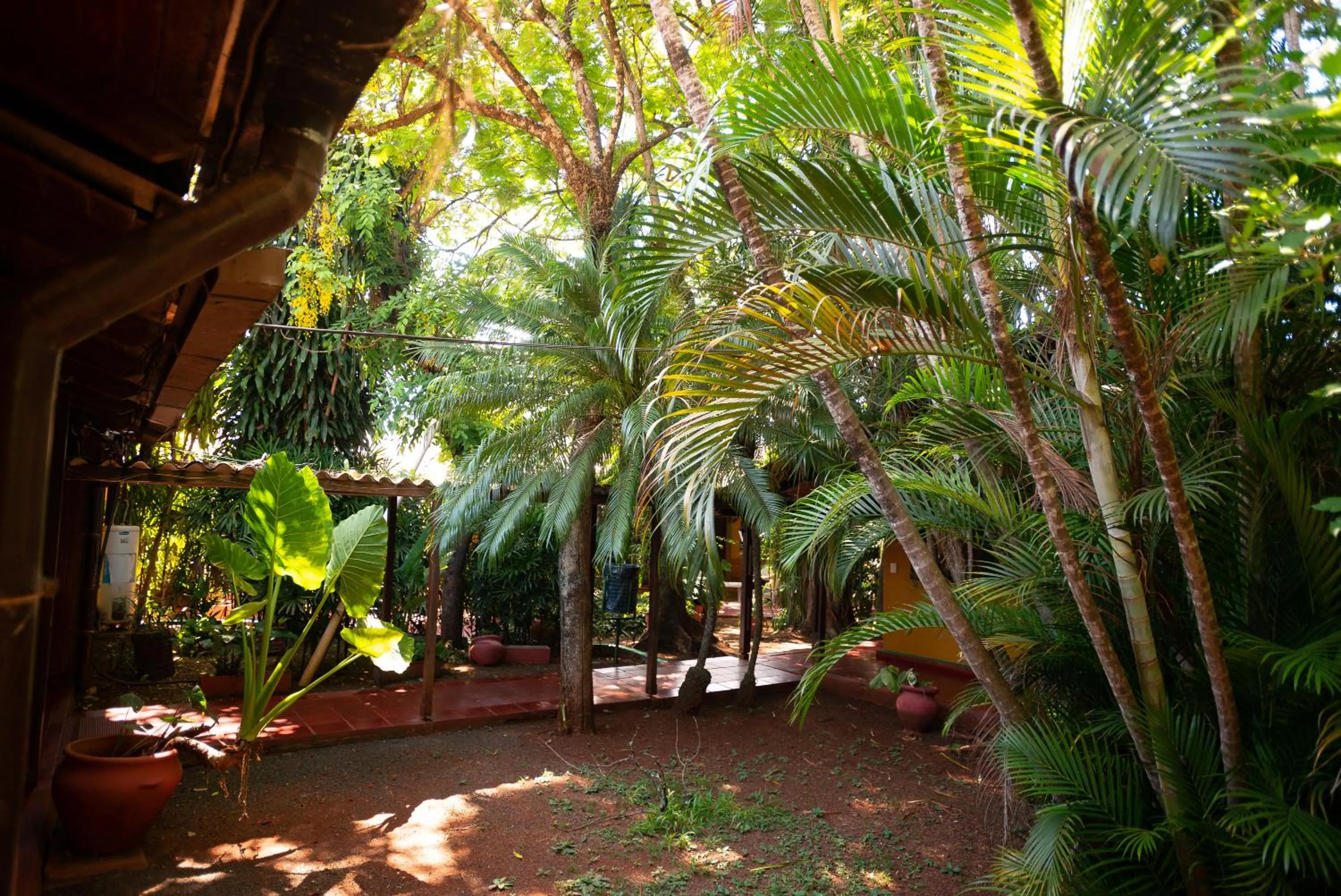 Garden view in Hosteria Los Helechos