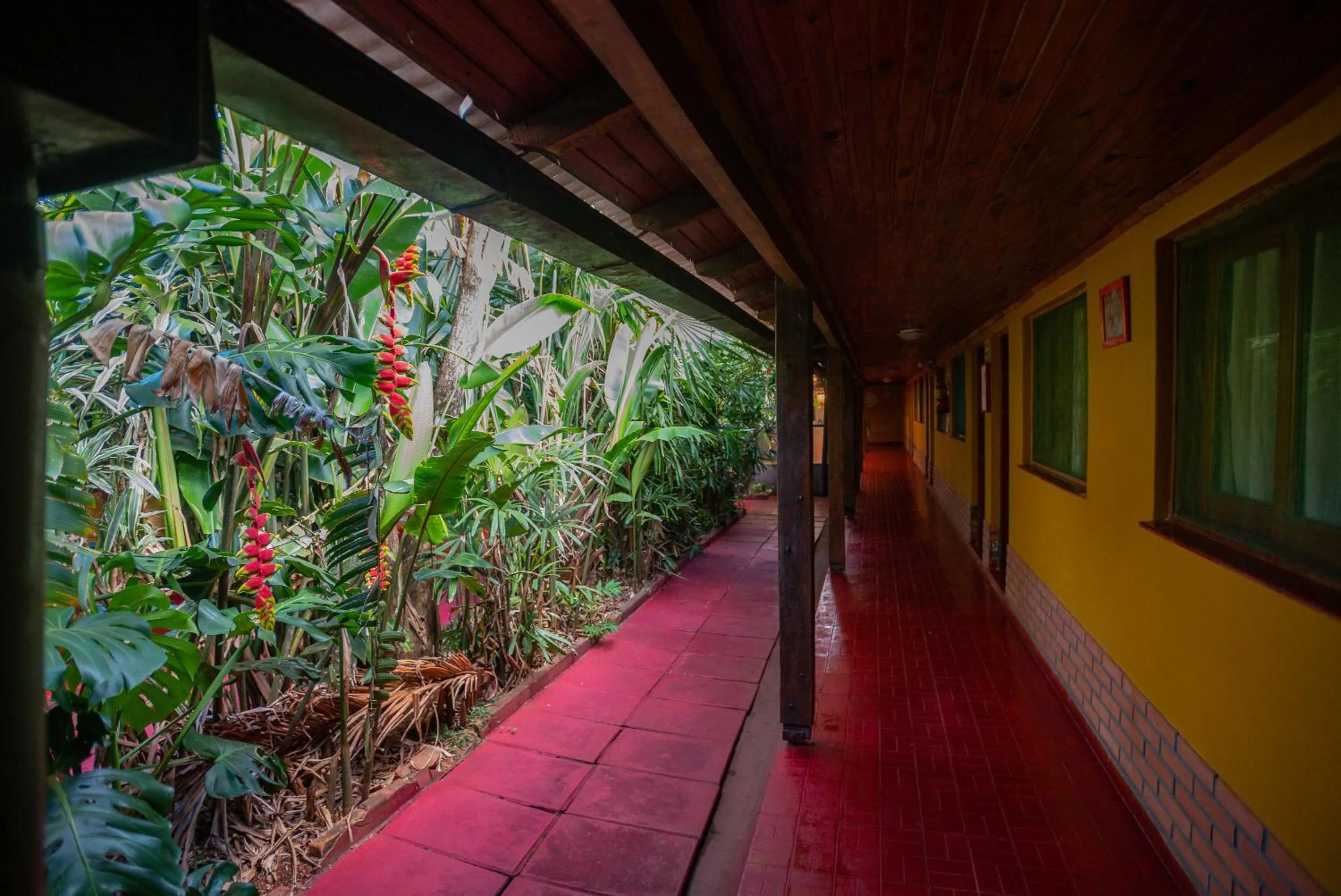 Garden view in Hosteria Los Helechos