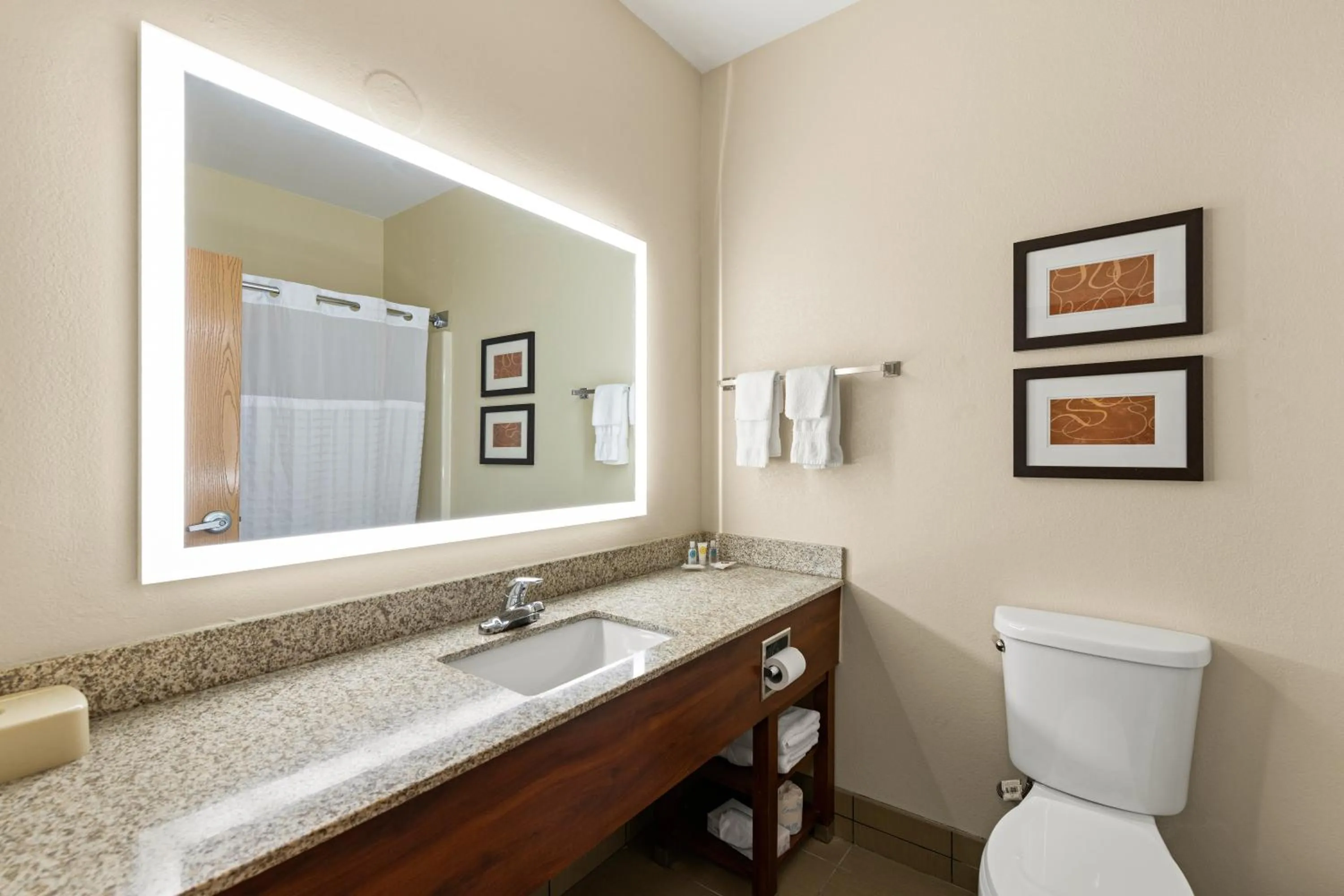 Bathroom in Comfort Suites Kansas City-Liberty
