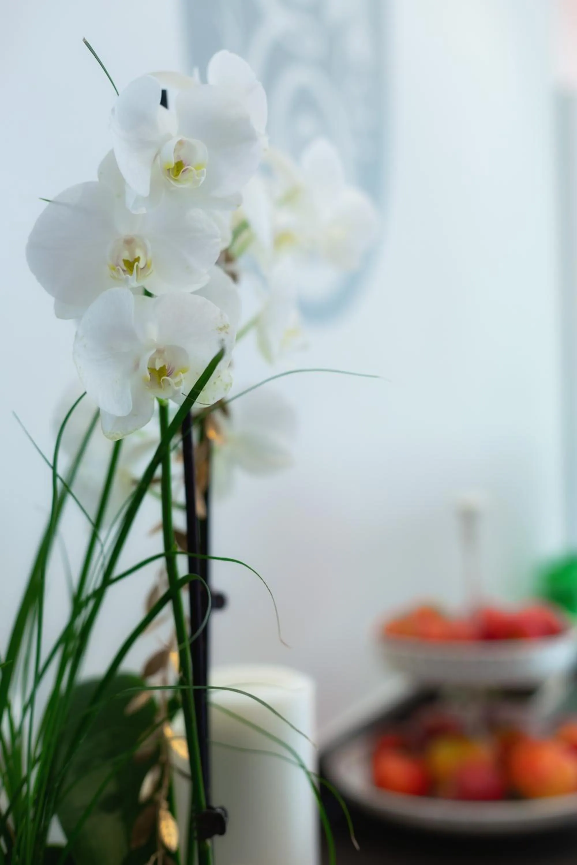 Spa and wellness centre/facilities in Belvedere