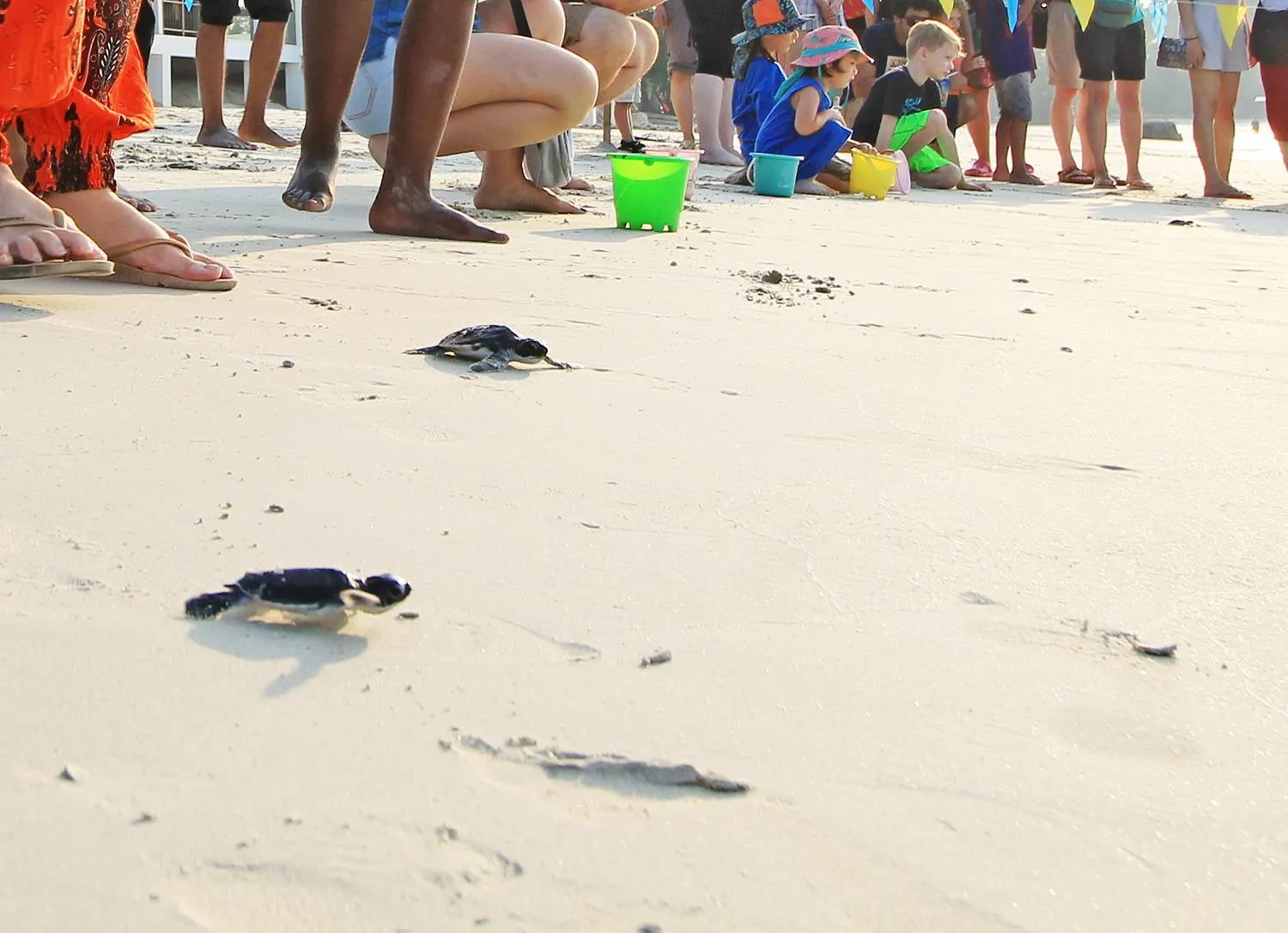 Activities in Banyu Biru Villa