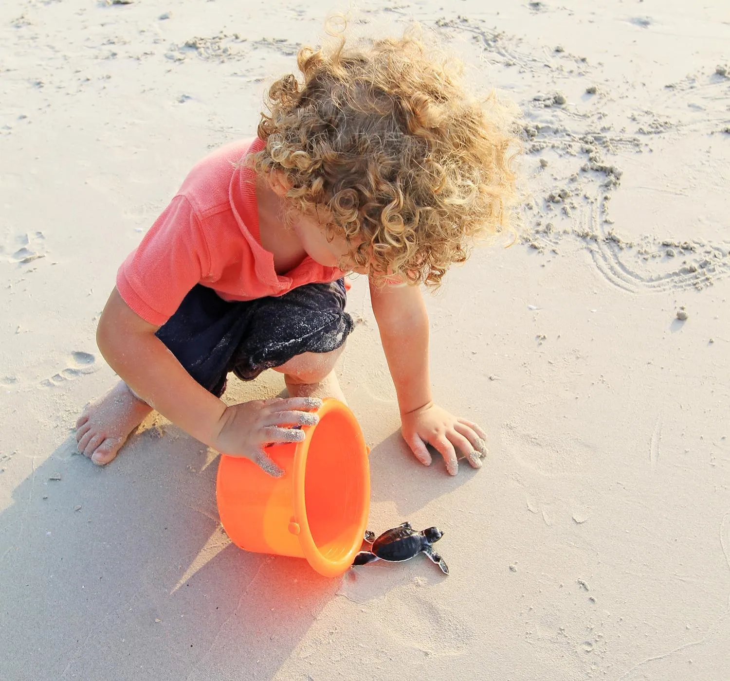 Beach in Banyu Biru Villa