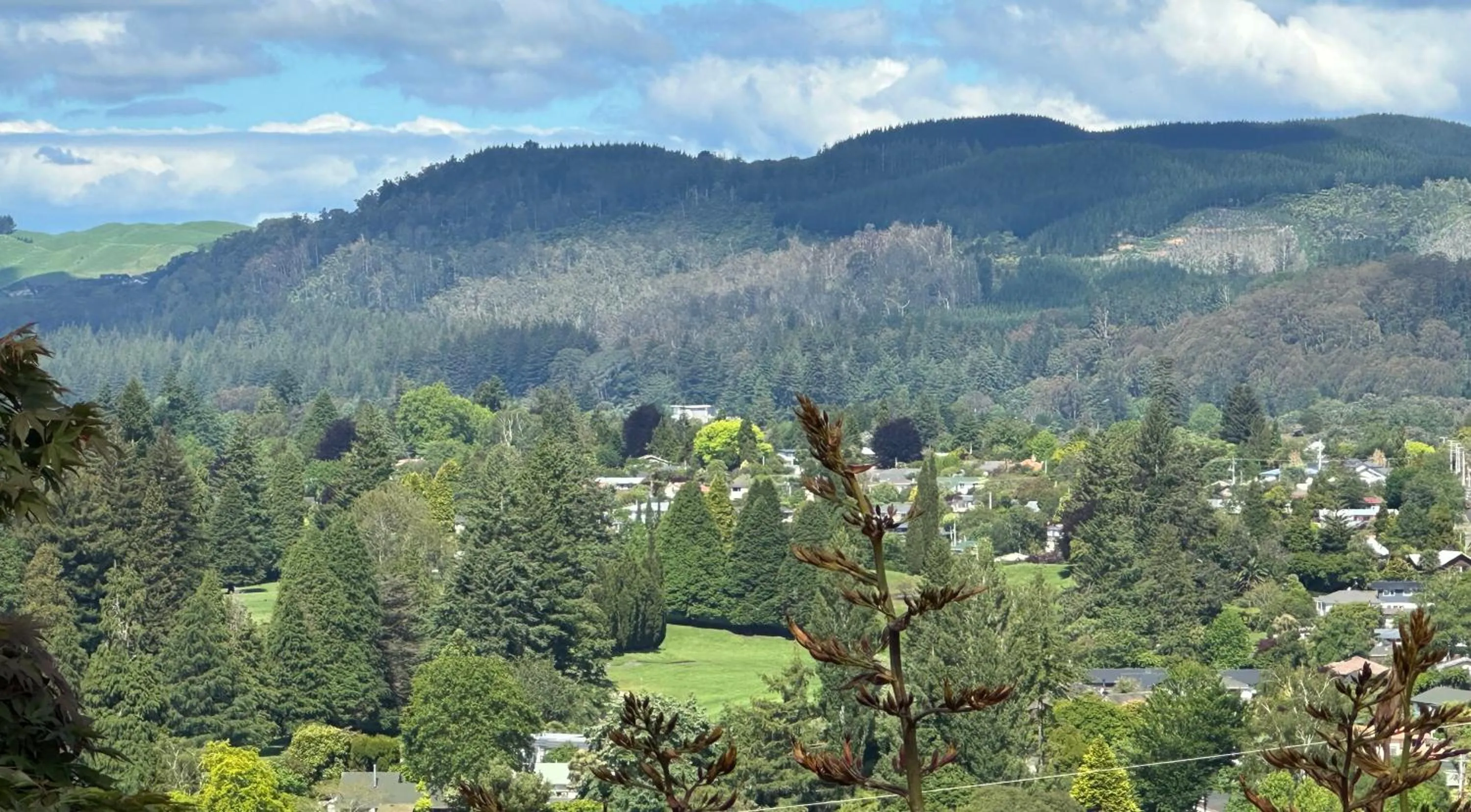 Bird's eye view in KARANDA BnB