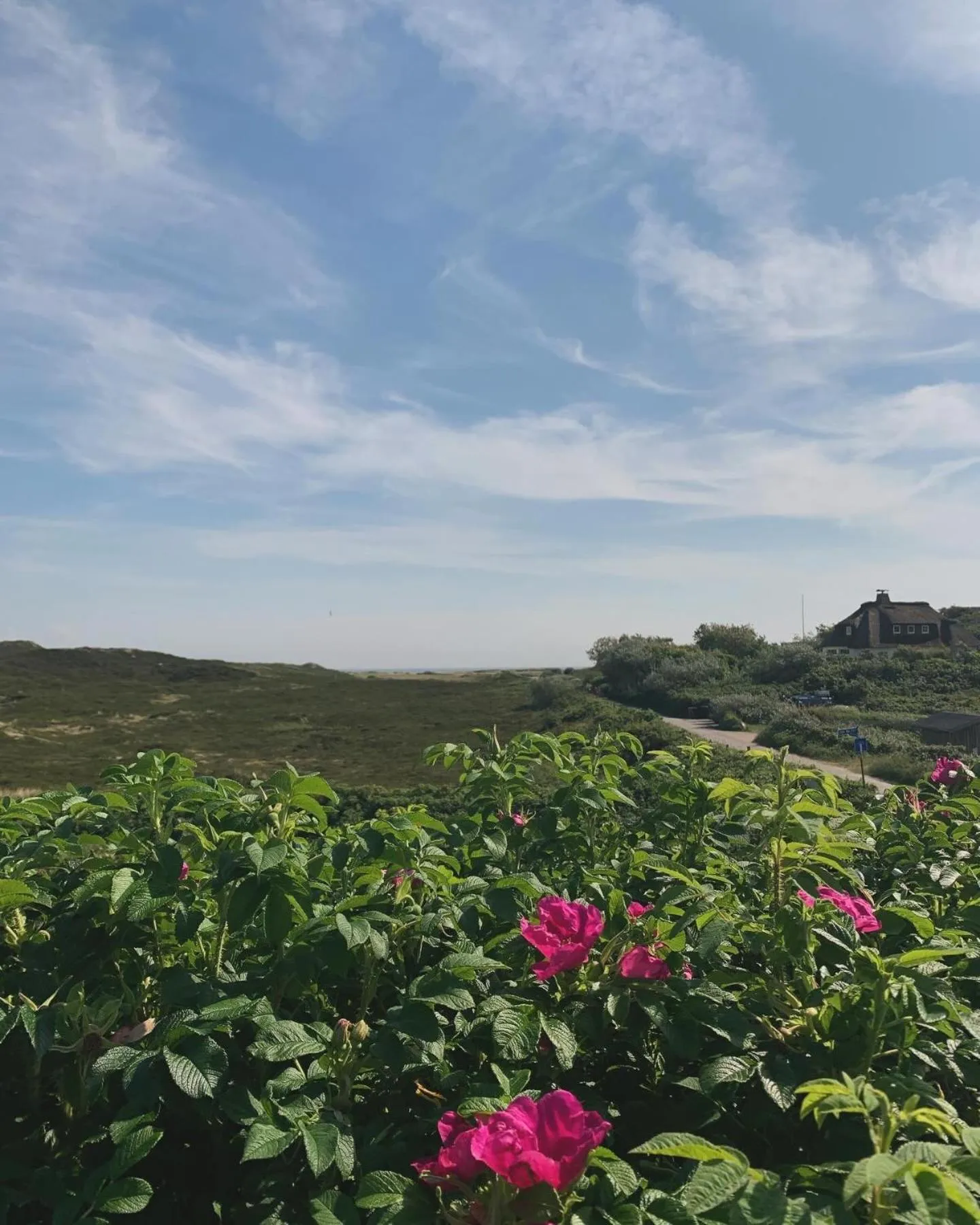 View (from property/room) in ApartHotel Seepferdchen