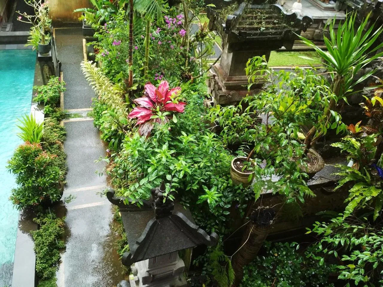 Garden view in Rumah Roda