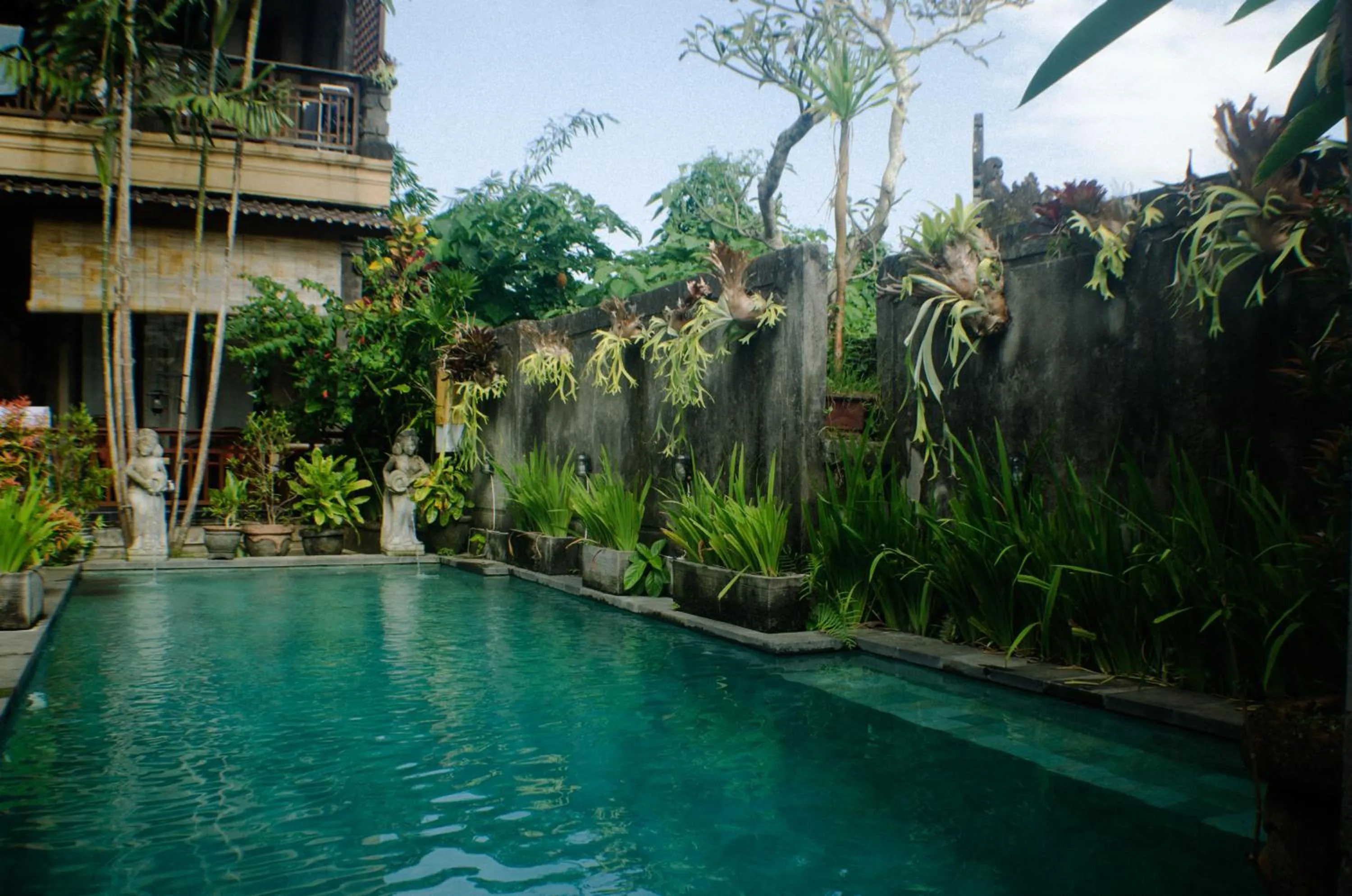 Natural landscape in Rumah Roda