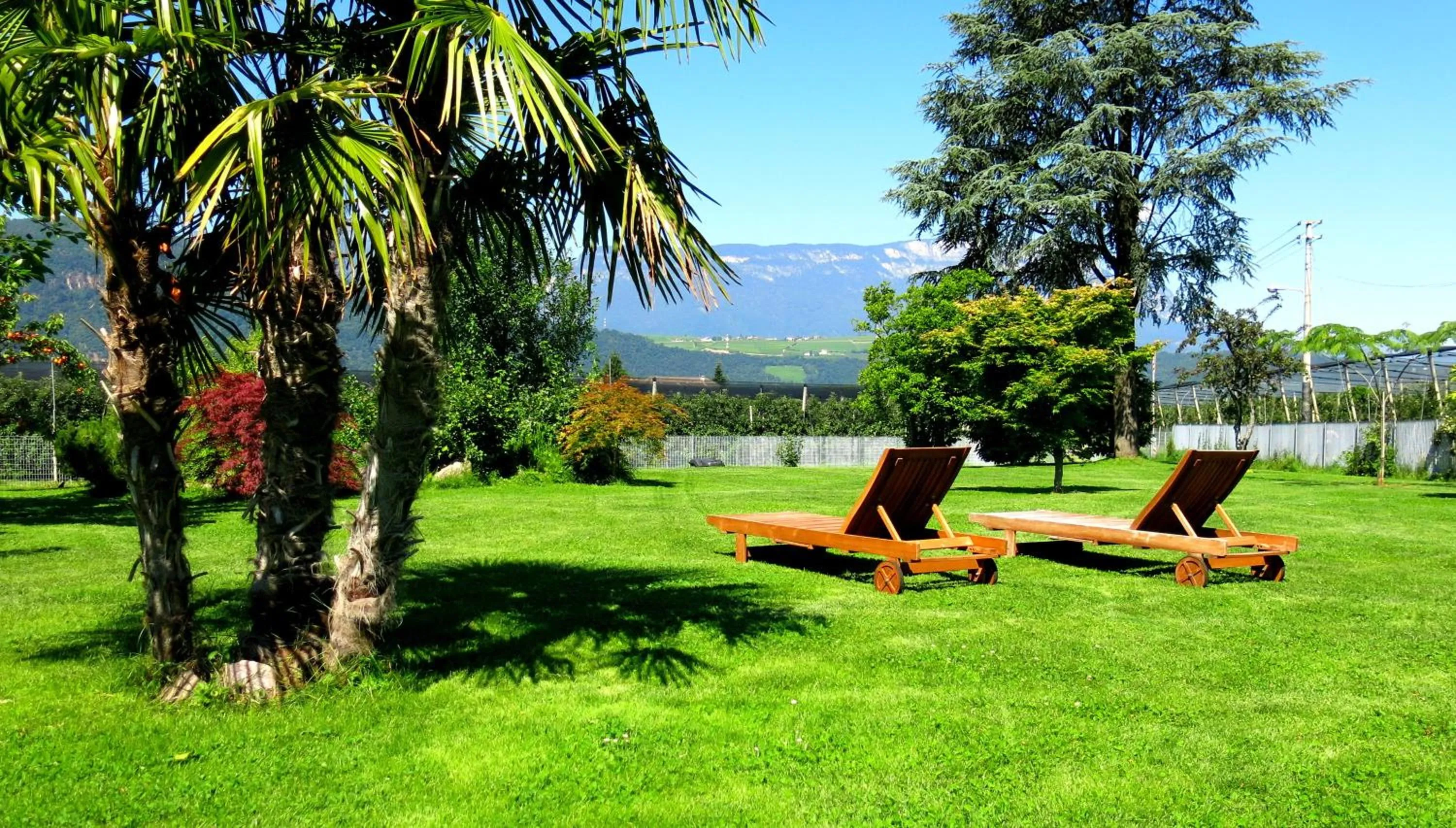 Garden in Hotel Raffl