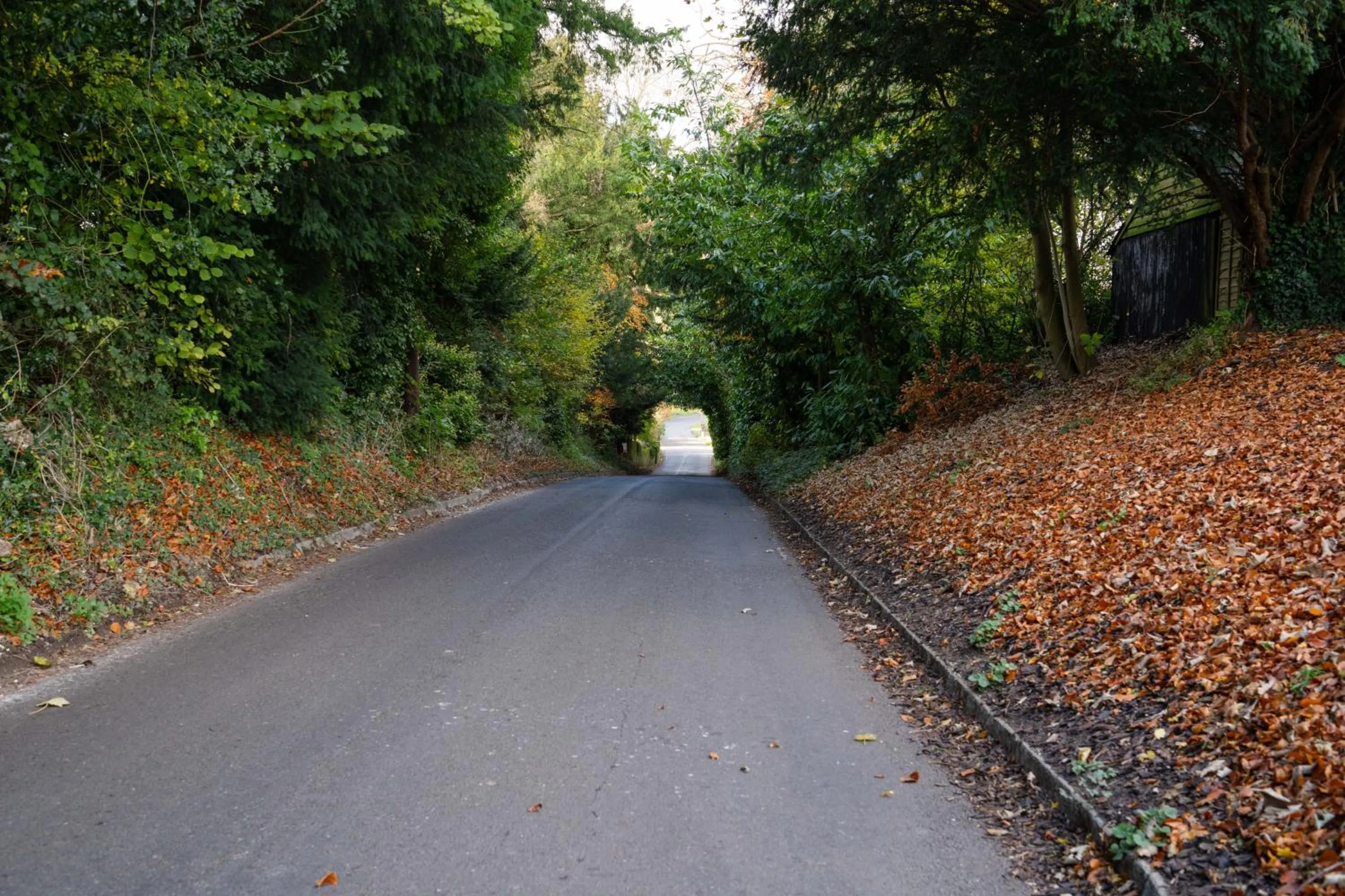 Area and facilities in The Running Horse