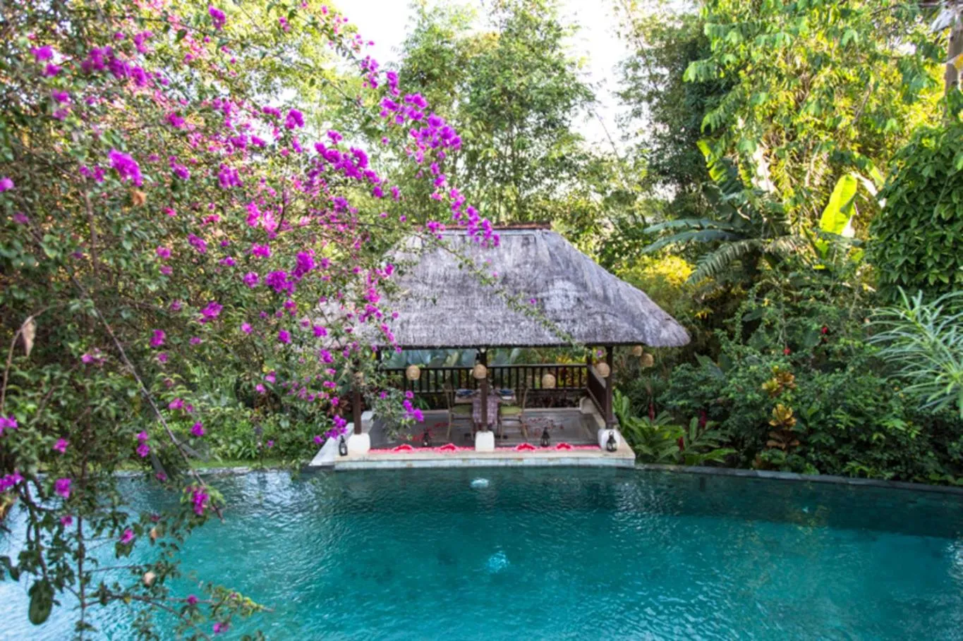 Swimming pool in Villa Canggu by Plataran