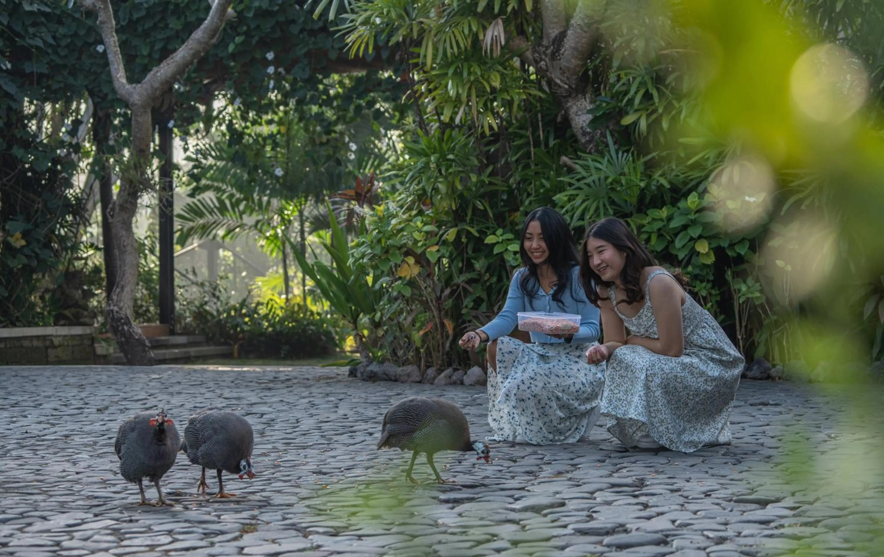 Activities in Villa Canggu by Plataran