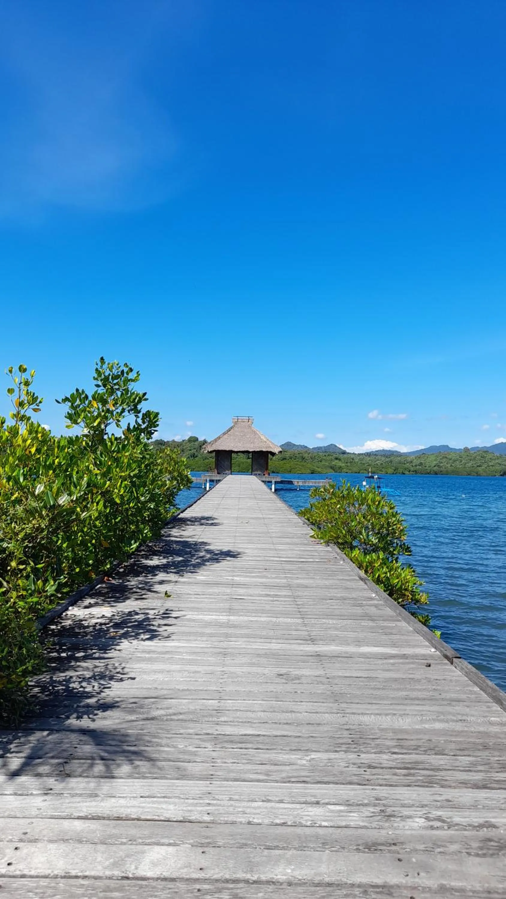 Diving in Naya Gawana Resort & Spa
