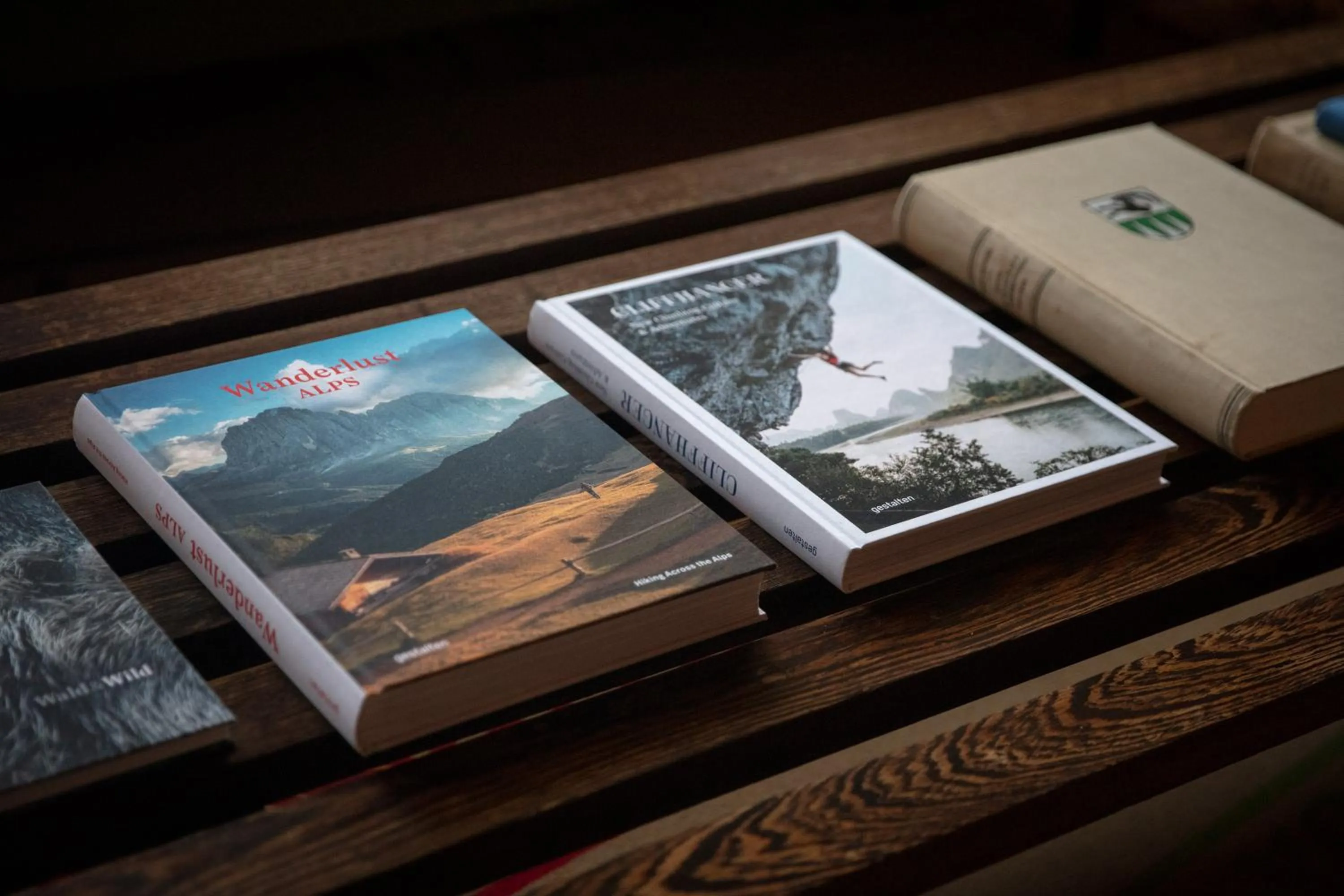 Library in Hotel Drei Berge