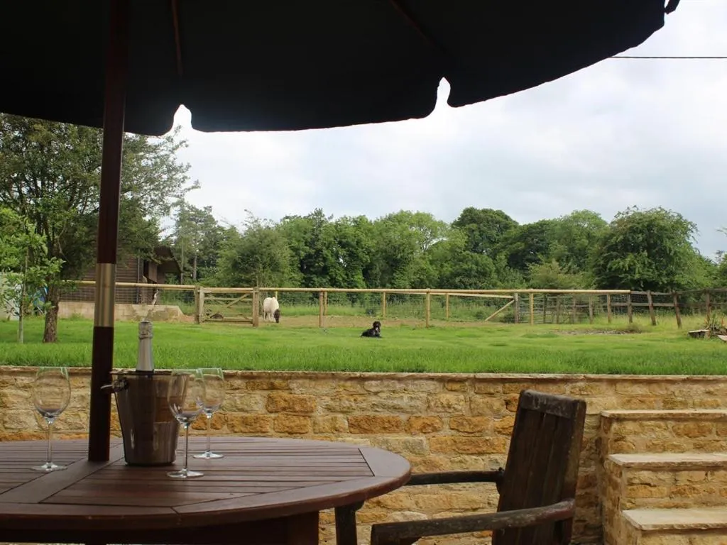 View (from property/room) in Sunny Nest