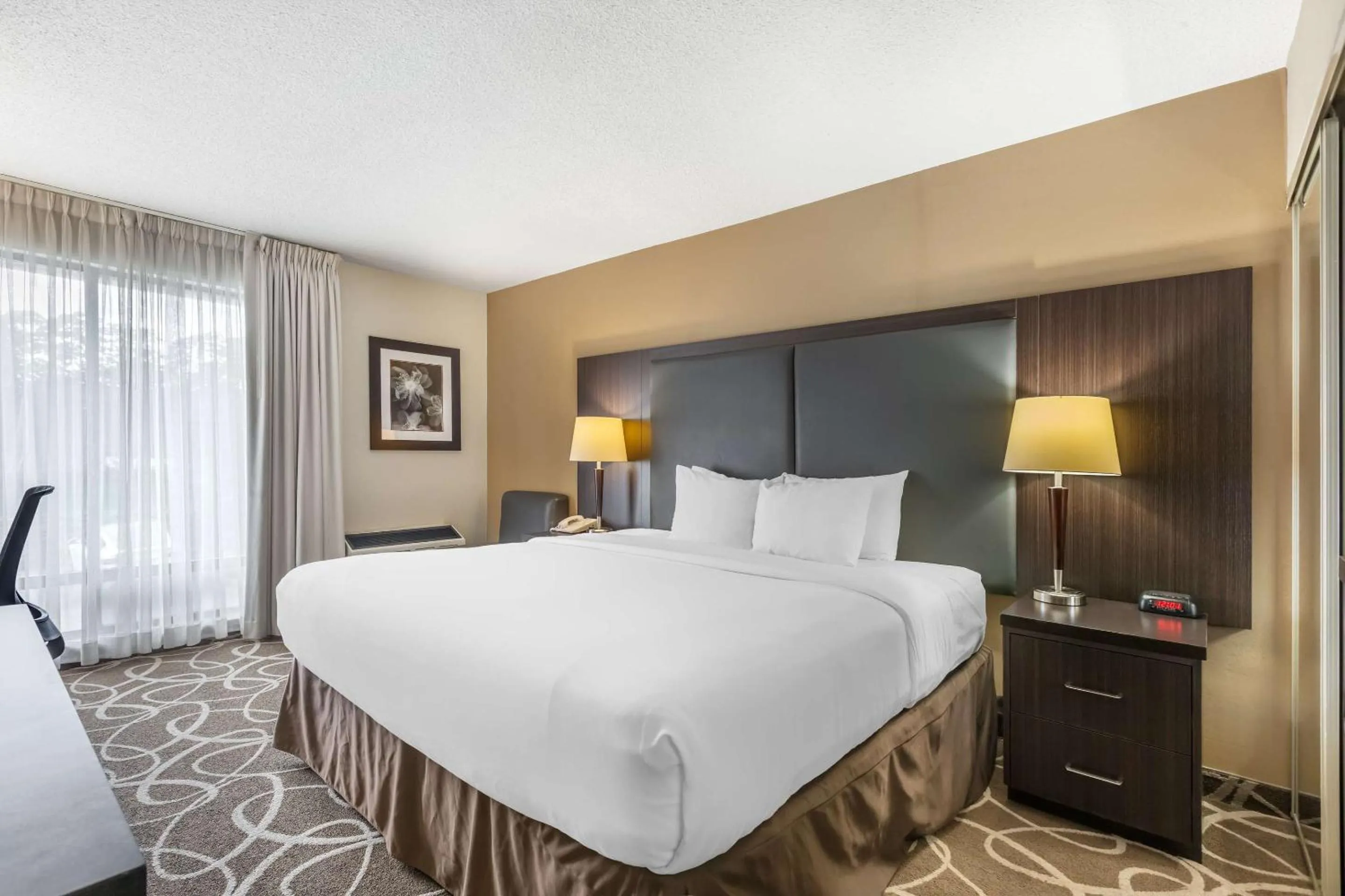 Bedroom, Bed in Comfort Inn