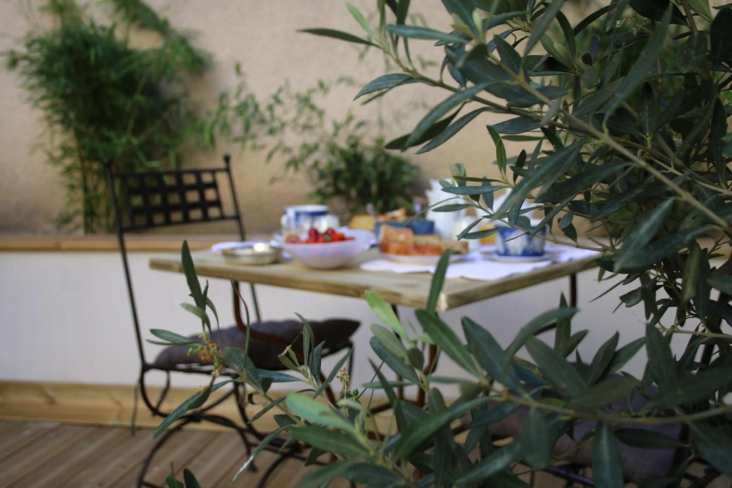 Garden in B&B Les chambres d'Aimé