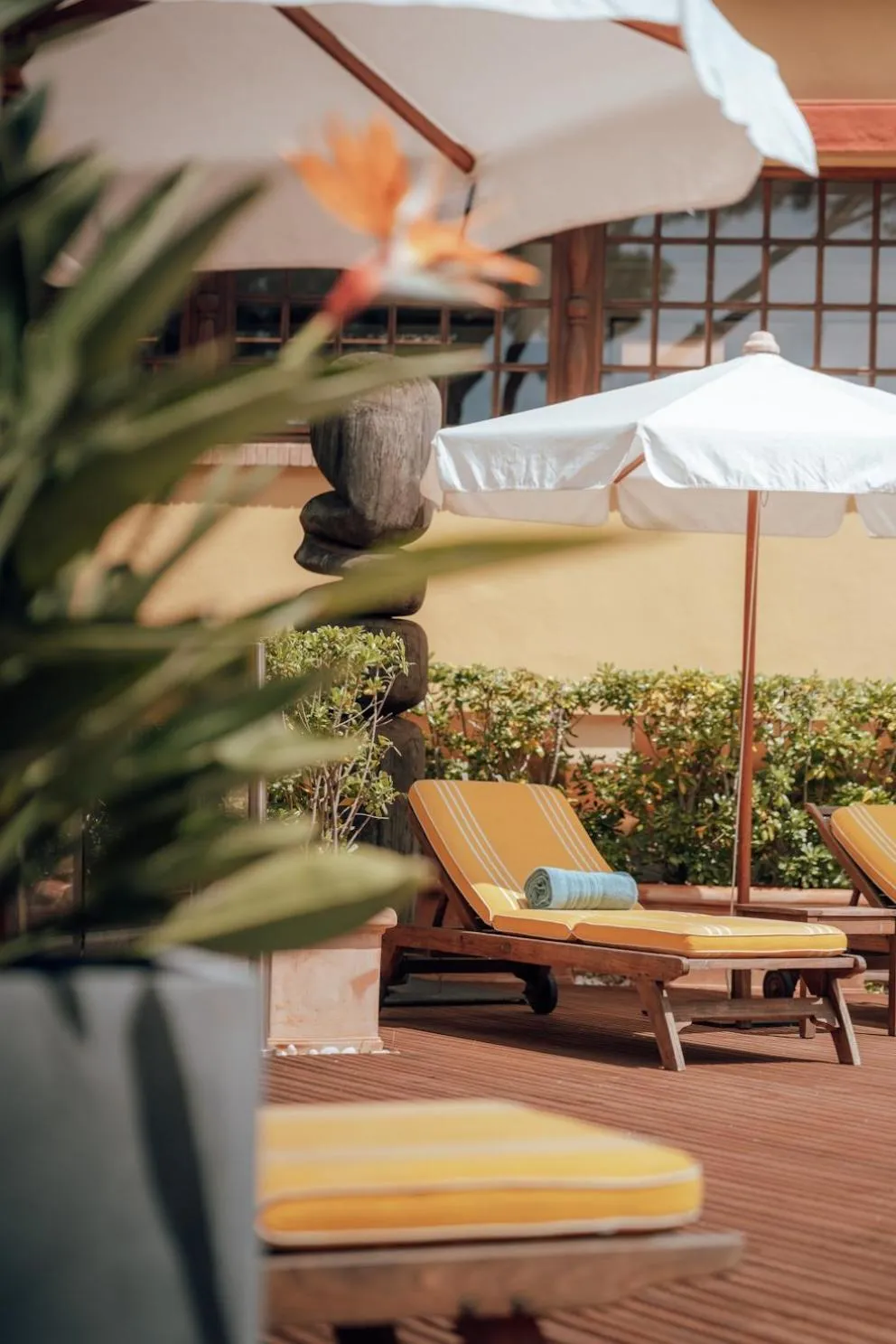 Swimming pool in Ermitage de l'Oasis & Spa - Cannes Mandelieu