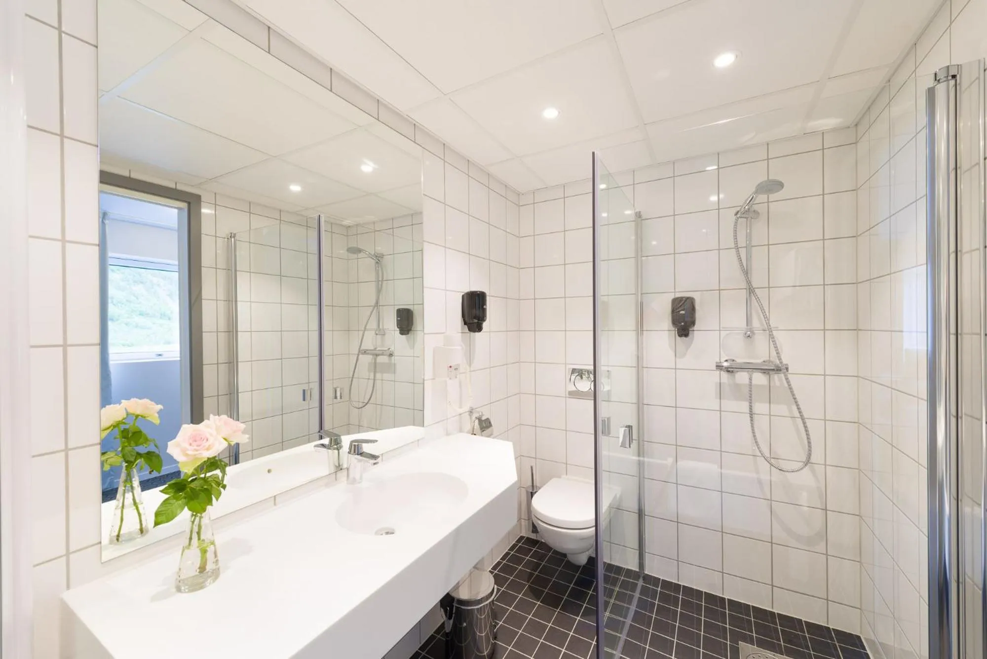 Toilet in Fru Haugans Hotel