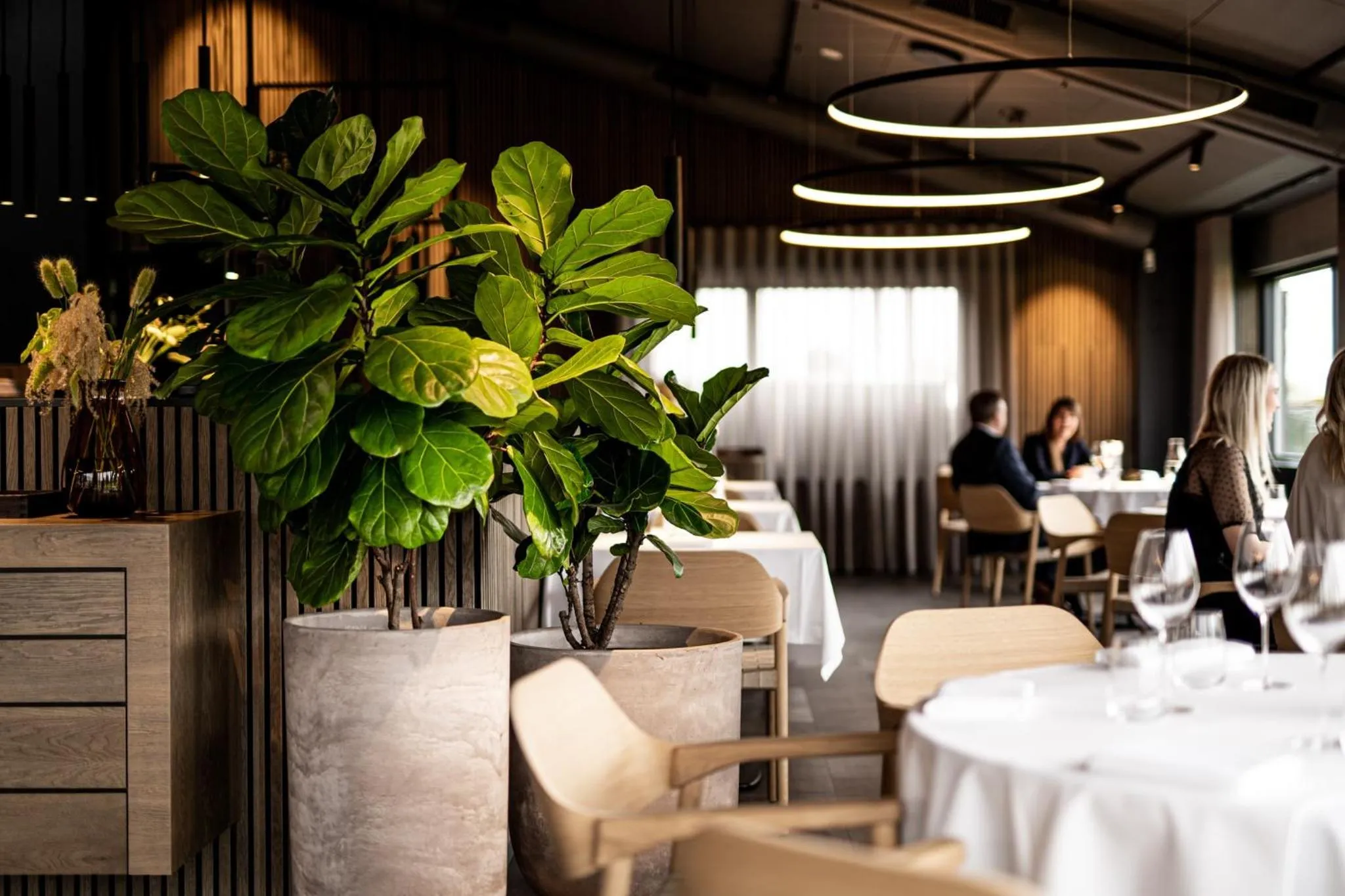 Restaurant/places to eat in HimmerLand