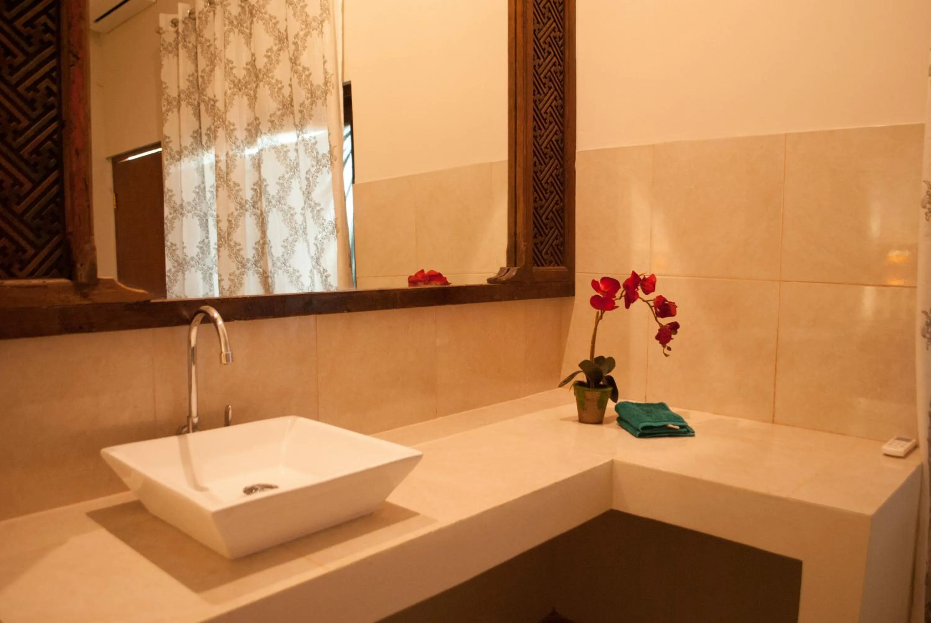 Area and facilities in Casa Narrow Villa