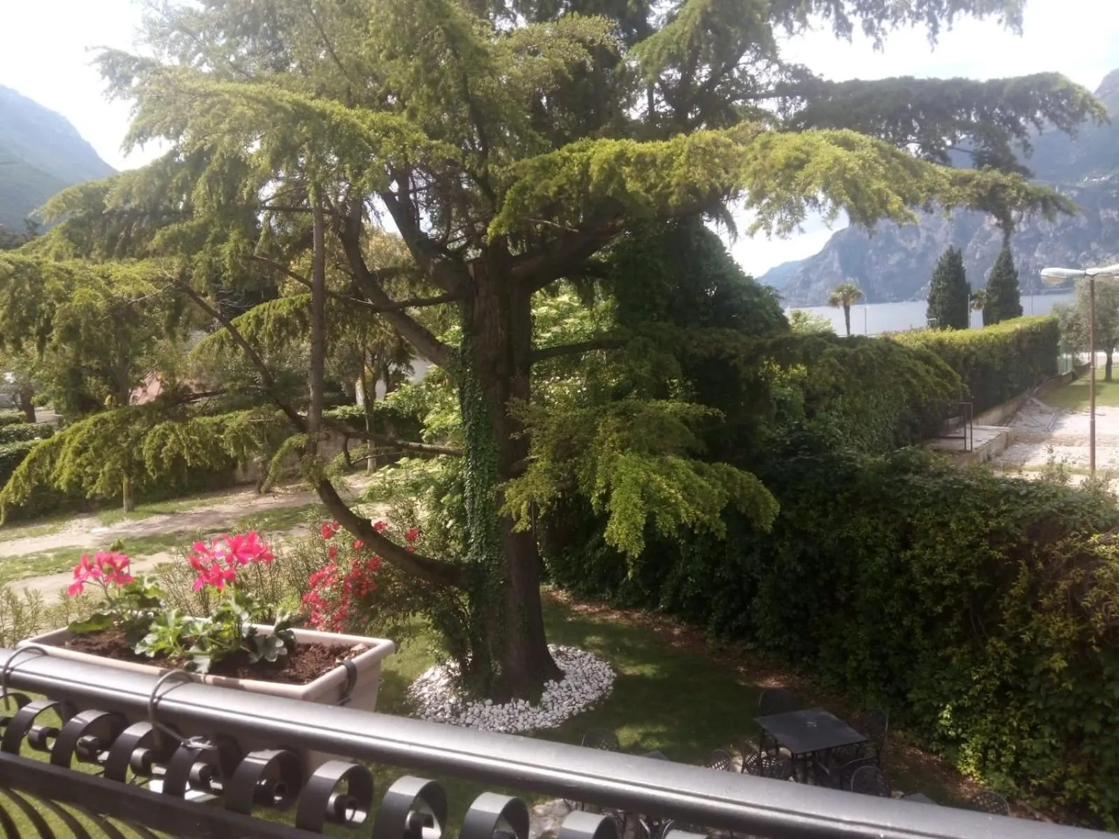 Natural landscape in Villa Torbole