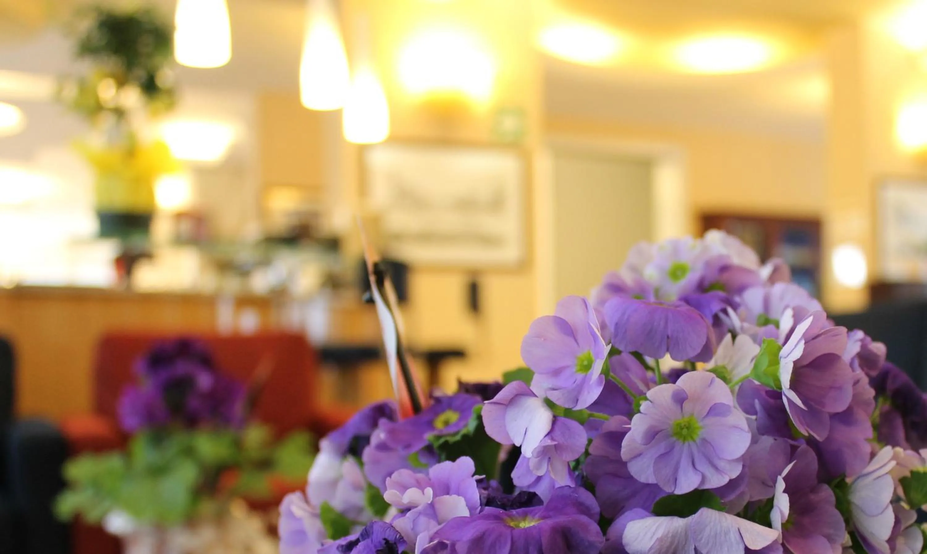 Lobby or reception in Hotel Albatros