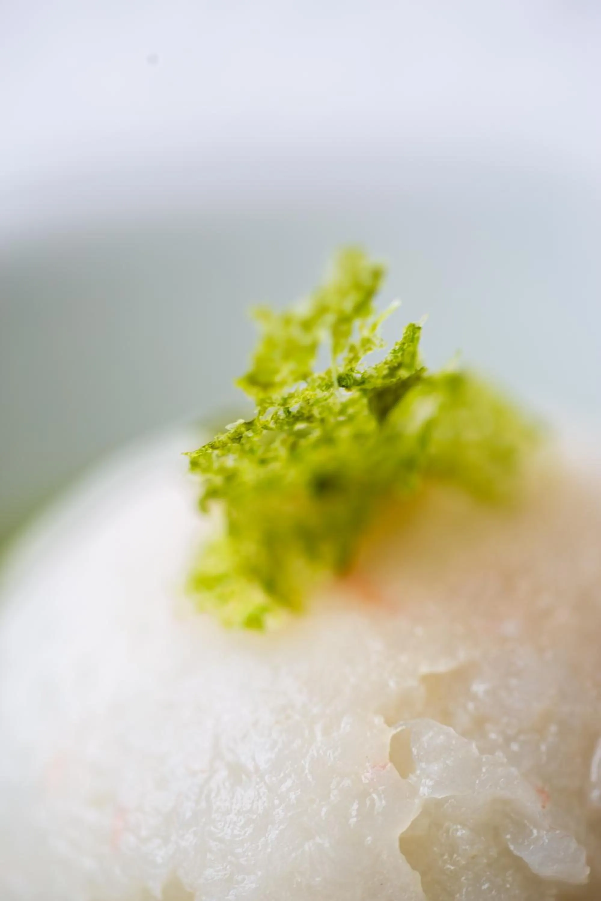 Food and drinks in Zen Hotel Versilia