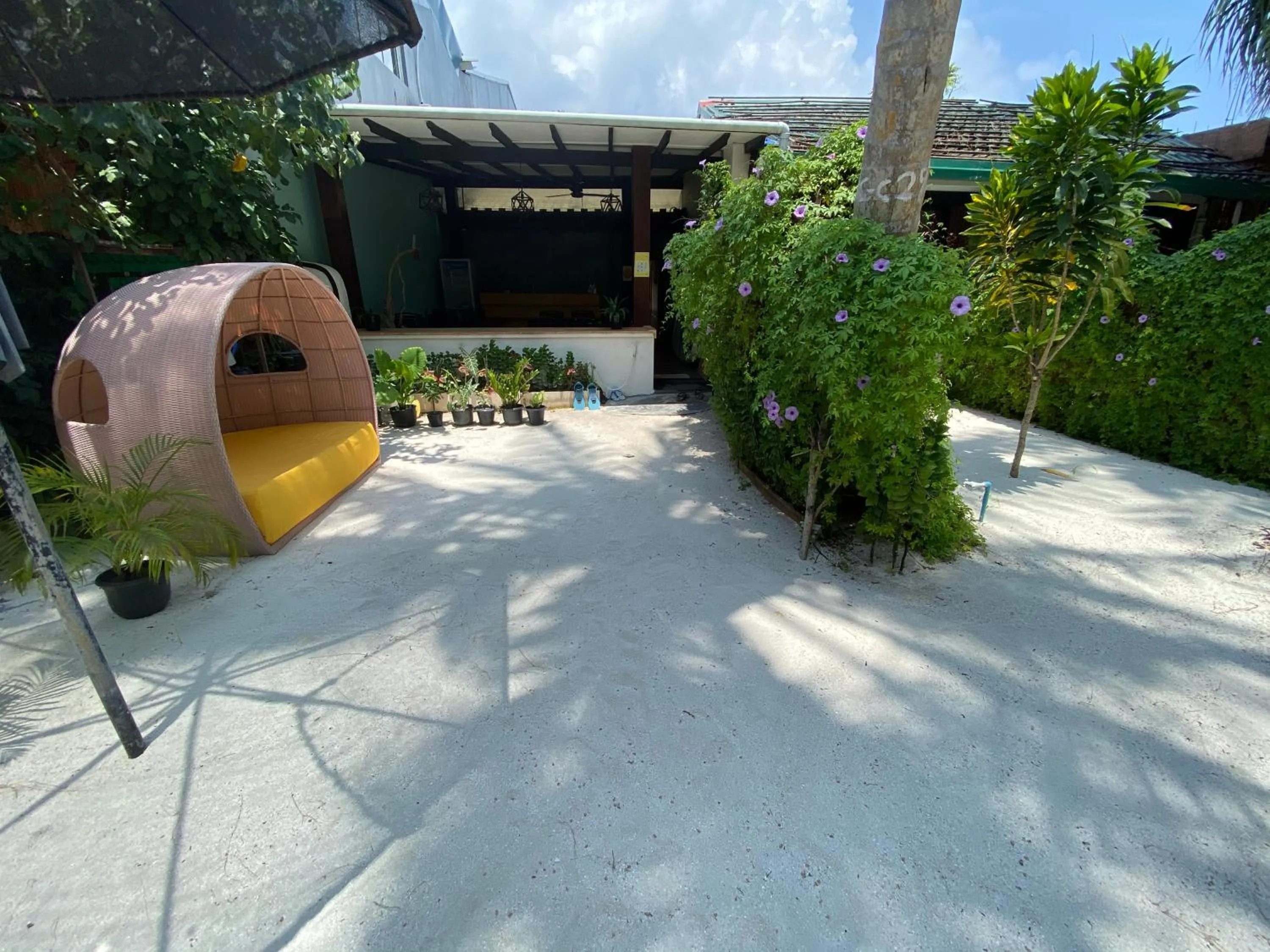 Property building in Beach Veli